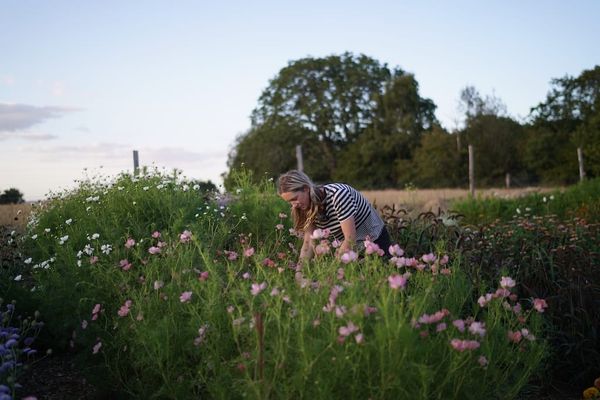 From London to flower farming: growing a new life at Dusky Slug Flowers