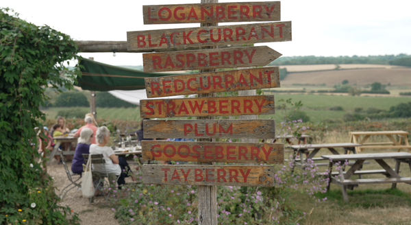 How Tibbs Farm is Building Resilience through Diversity