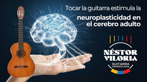 Tocar la guitarra estimula la neuroplasticidad en el cerebro adulto
