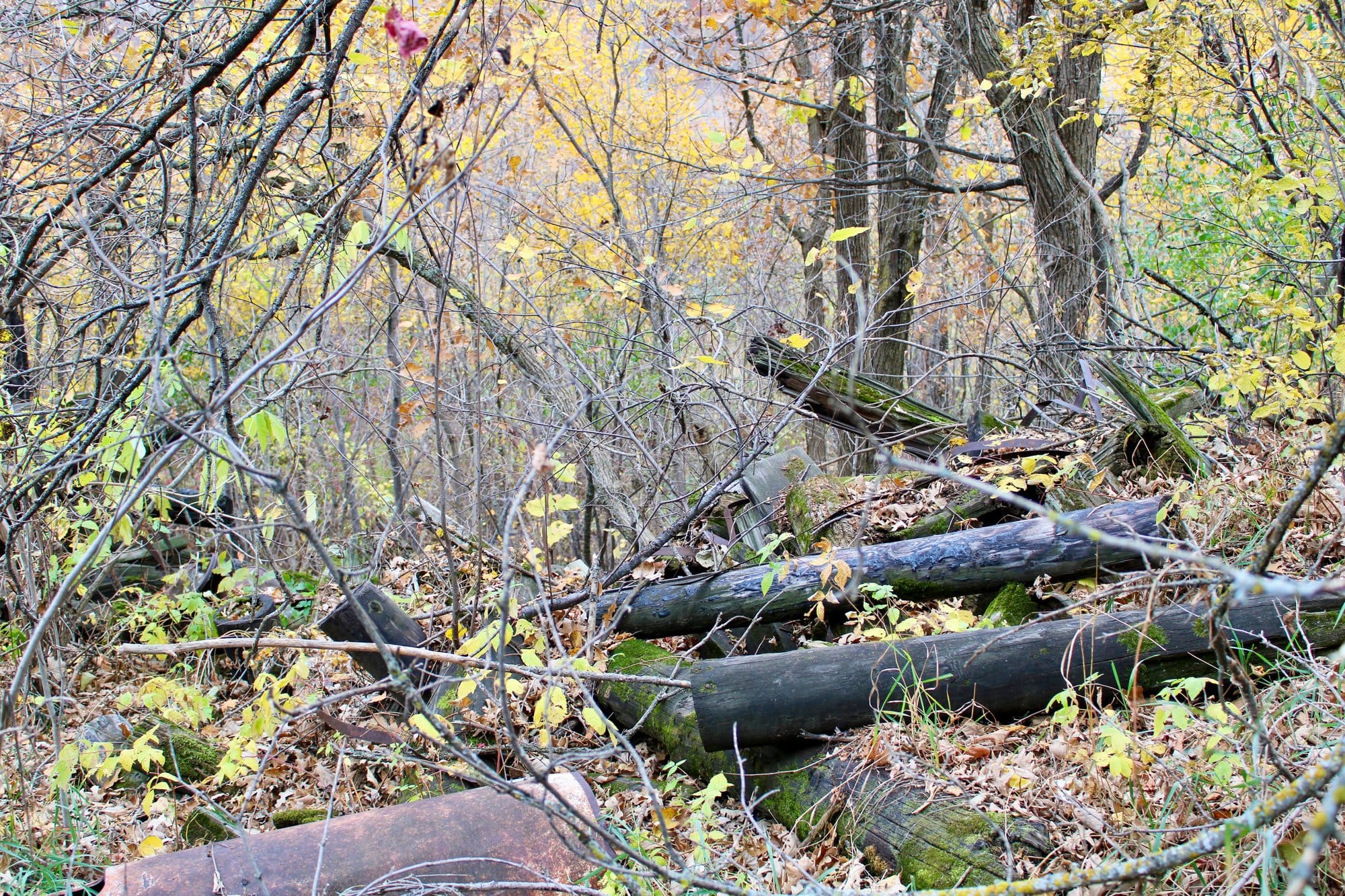 Poles covered in toxic wood preservatives by the St.
