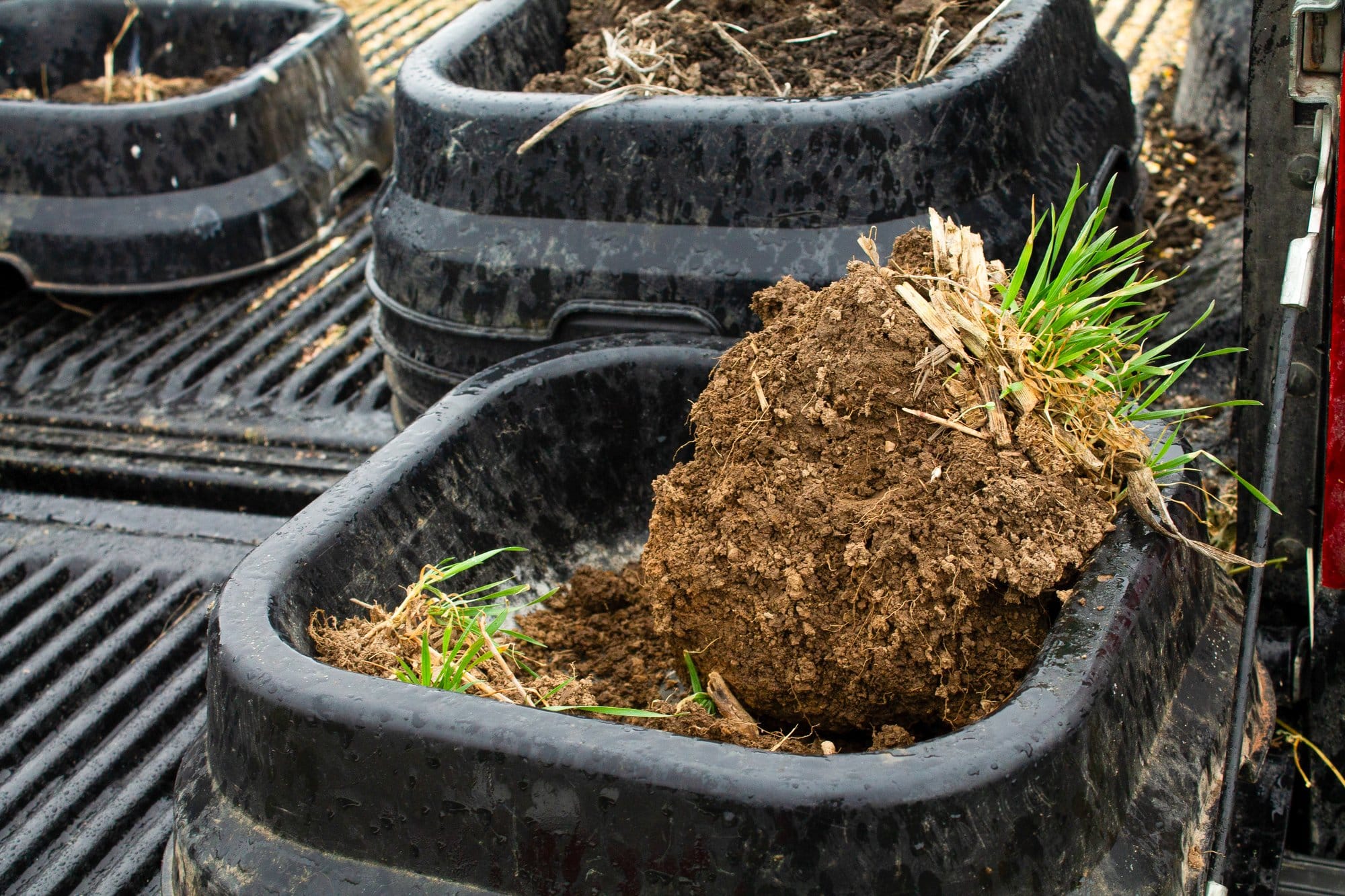A thick clump of aggregated soil from one of Greg Thoren’s fields in Stockton, Illinois, which he showed curious farmers who
