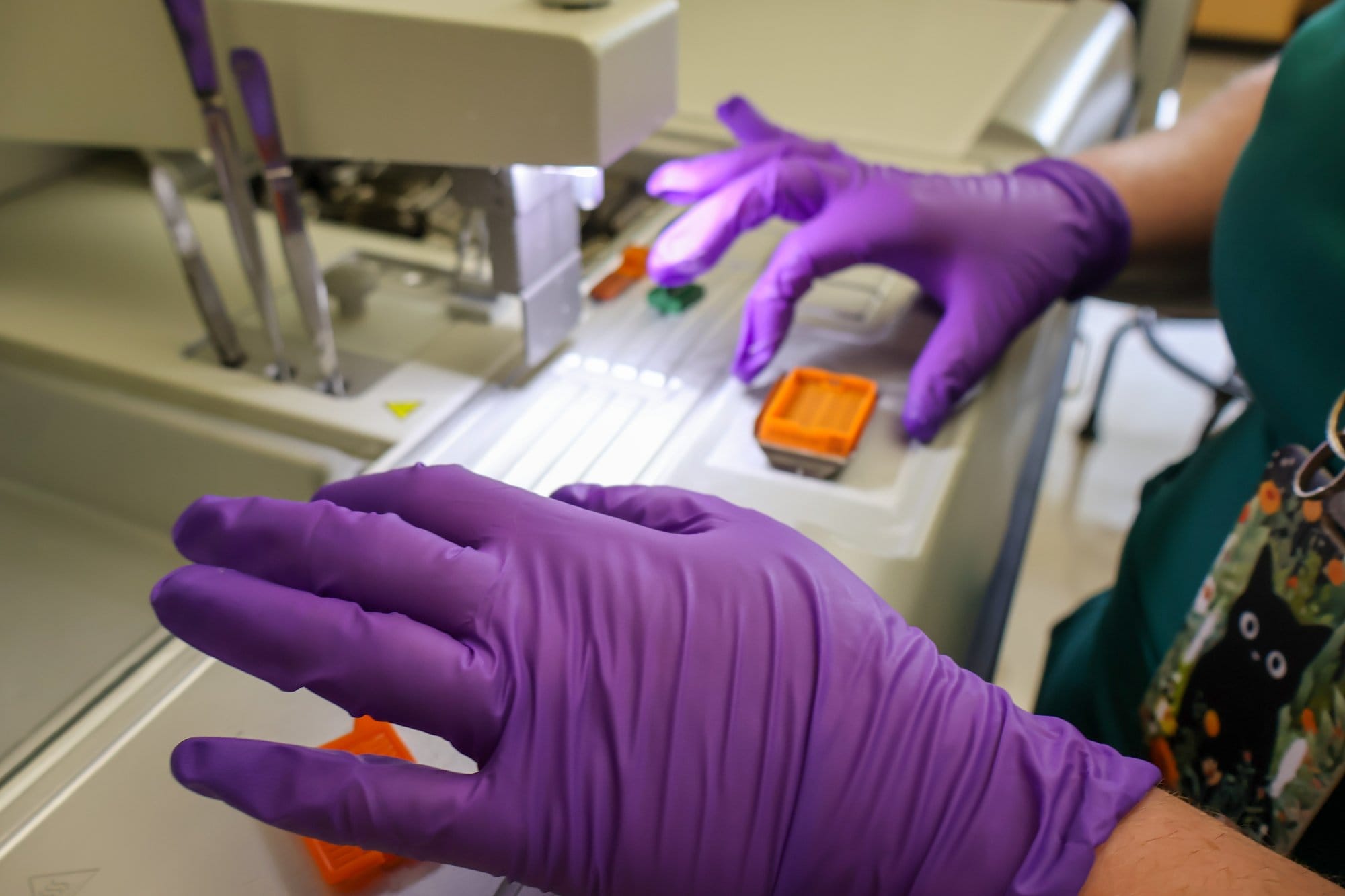Laboratory technician Haleigh Glascock handles microscope slides with samples of deer brain stem and lymph nodes to inspect
