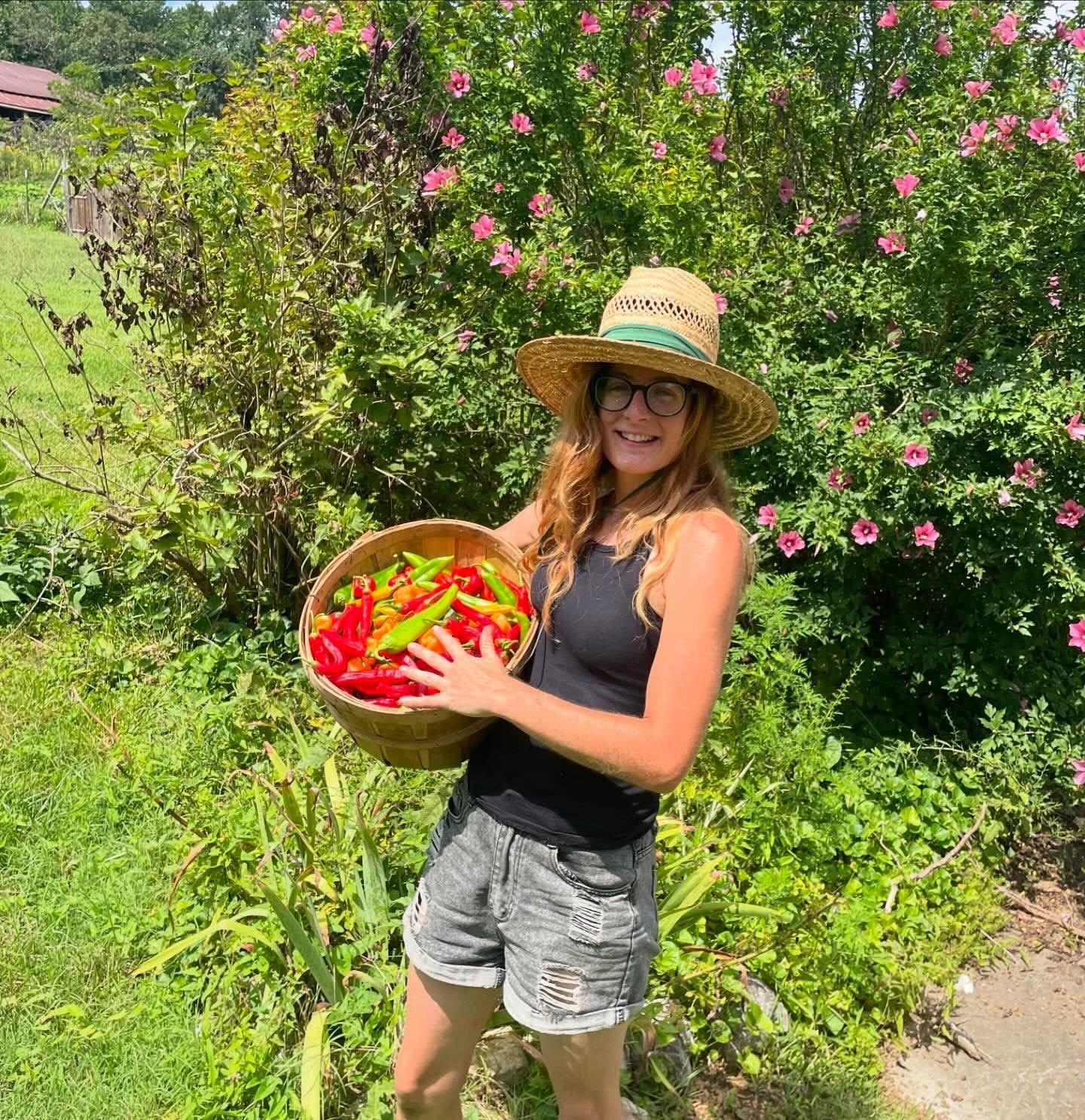 Ali Simpson, 36, holds a basket of peppers grown on Kimberly Ann Farms in Ten Mile, Tennessee.
