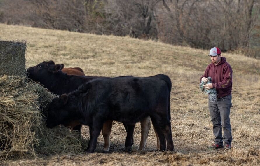 Ben De Boef watches his cows eat after unloading a bale of hay for them at his family farm in Montezuma, Iowa on Thursday,