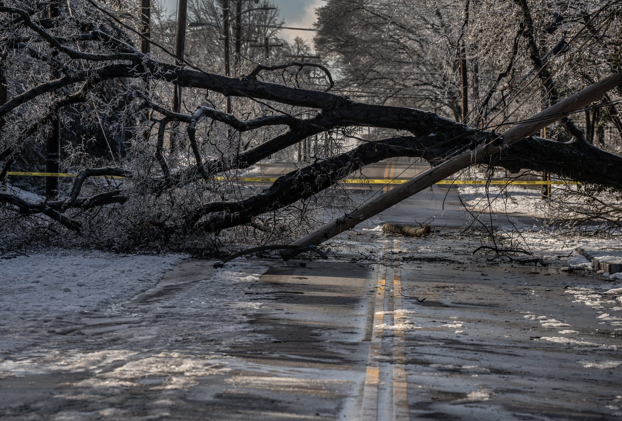 A tree blocks a road in Nashville, Tennessee, on Jan.