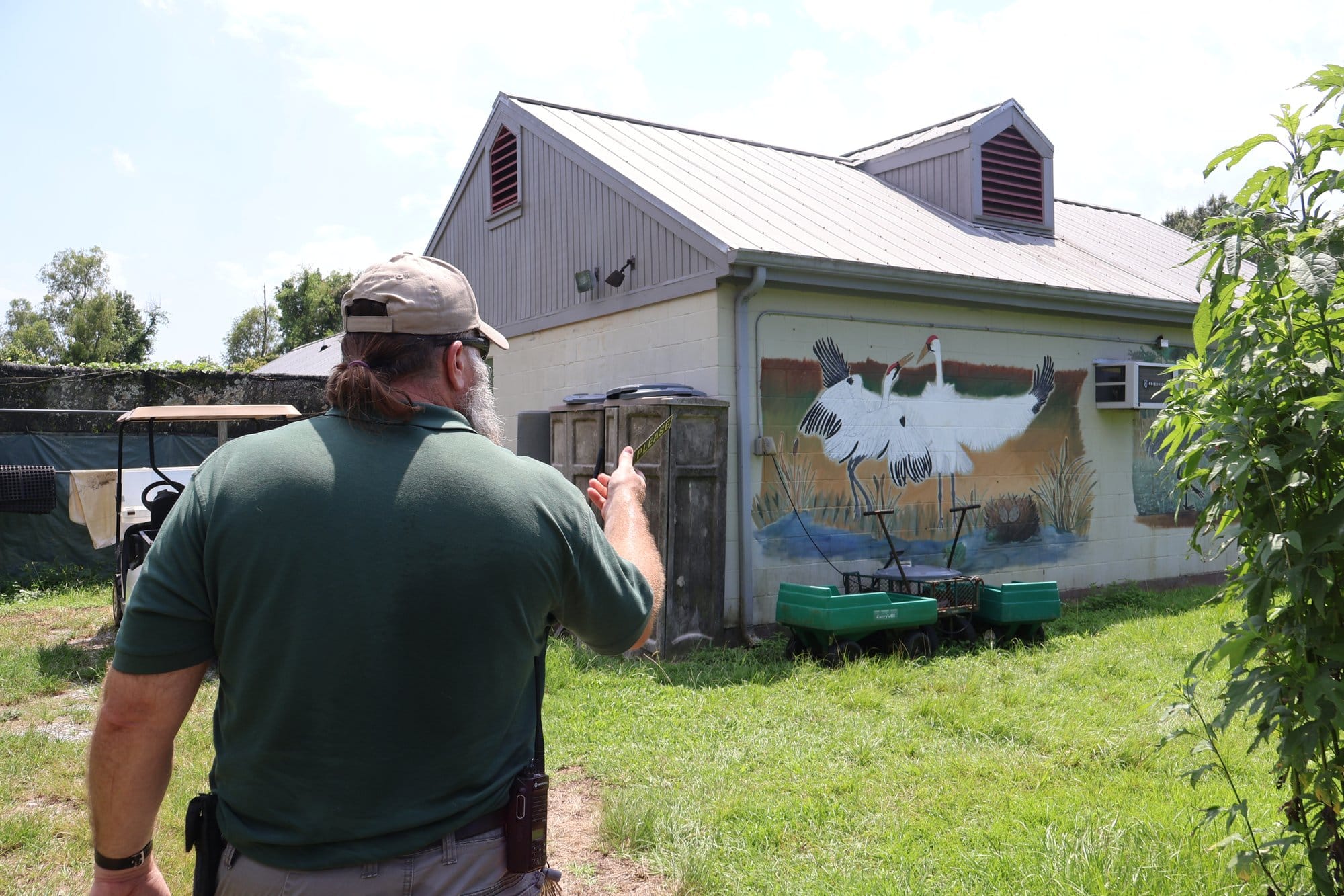 Richard Dunn, assistant curator for the Freeport-McMoRan Audubon Species Survival Center, points to a staff-painted mural at
