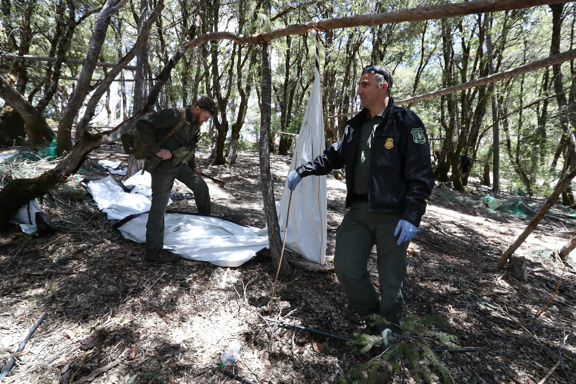 Officials stand in a wooded area