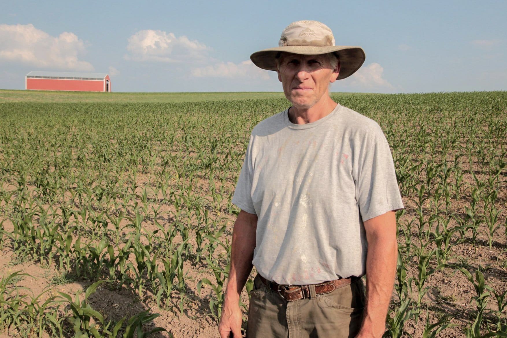 A farmer in a hat stands in his dusty, dry corn field. 
