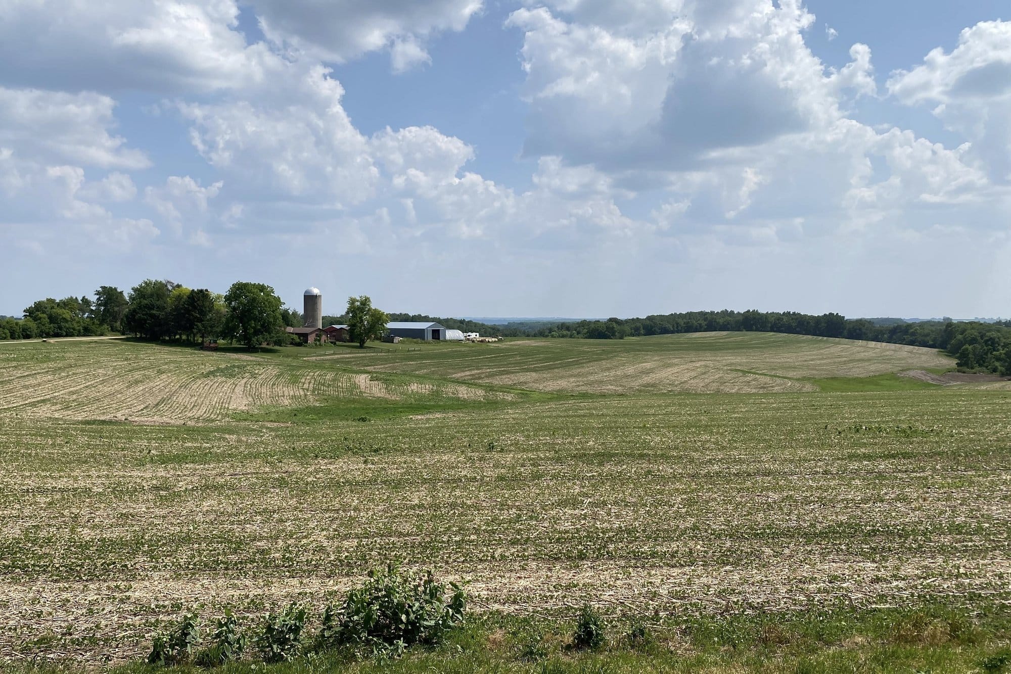 Corn and soybean fields show dry, sparse growth under hot, sunny conditions near Mount Sterling, Wisconsin, with farm buildings visible in the distance.
