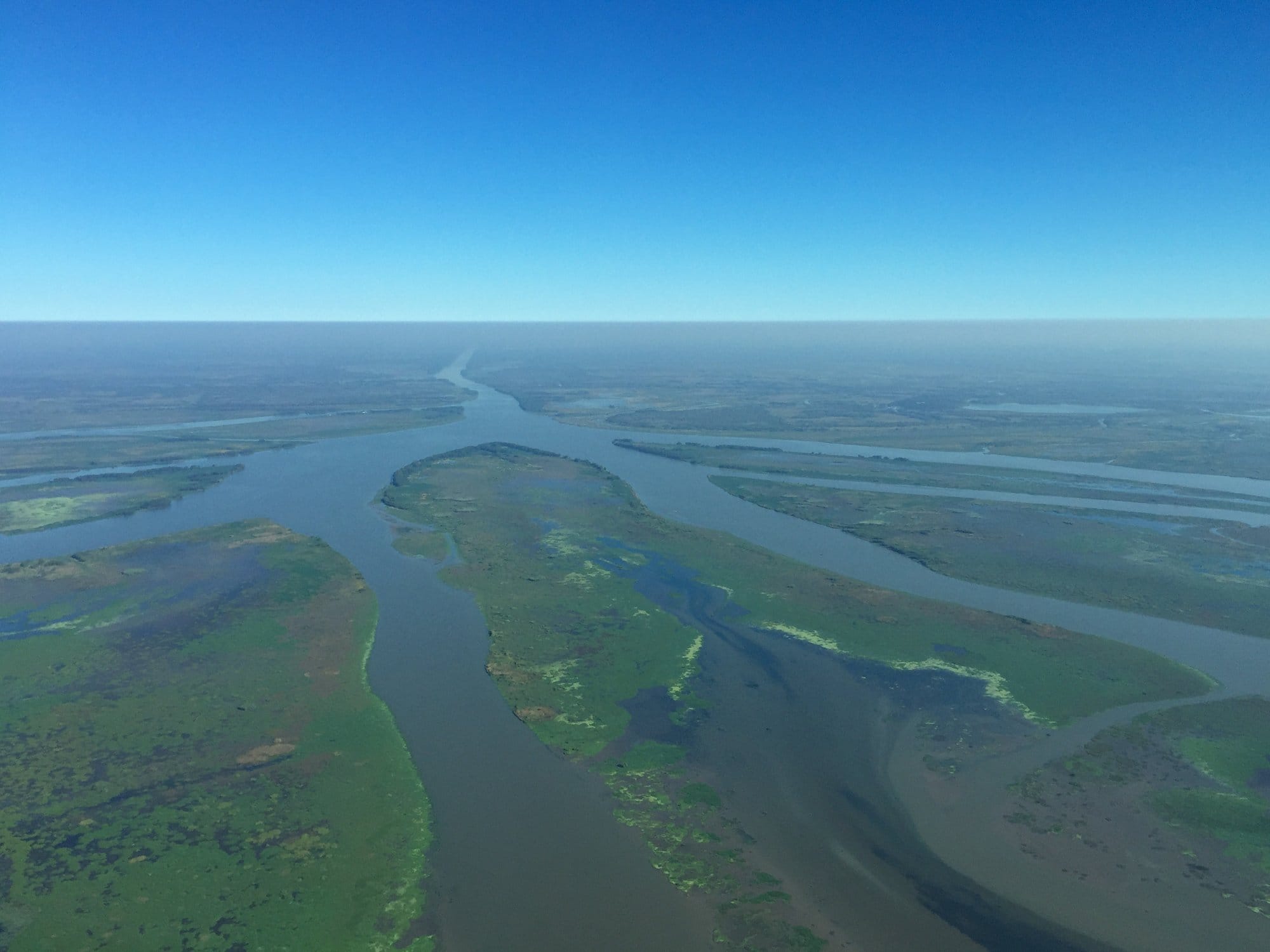 An aerial view of the Mississippi diverging into several channels to create a delta