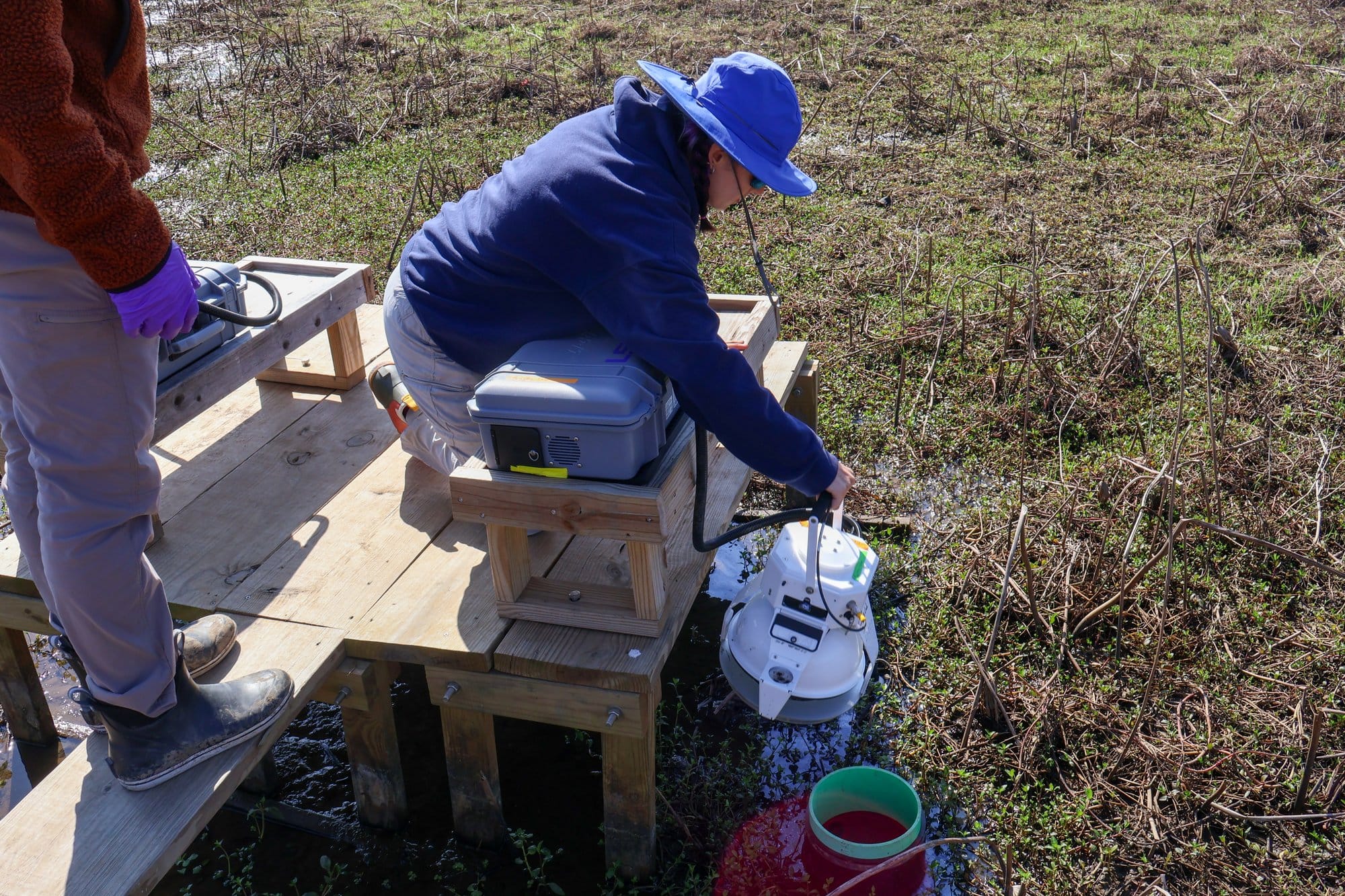 A woman in a sun hat kneels over a wooden platform holding a piece of equipment near the surface of the mucky ground