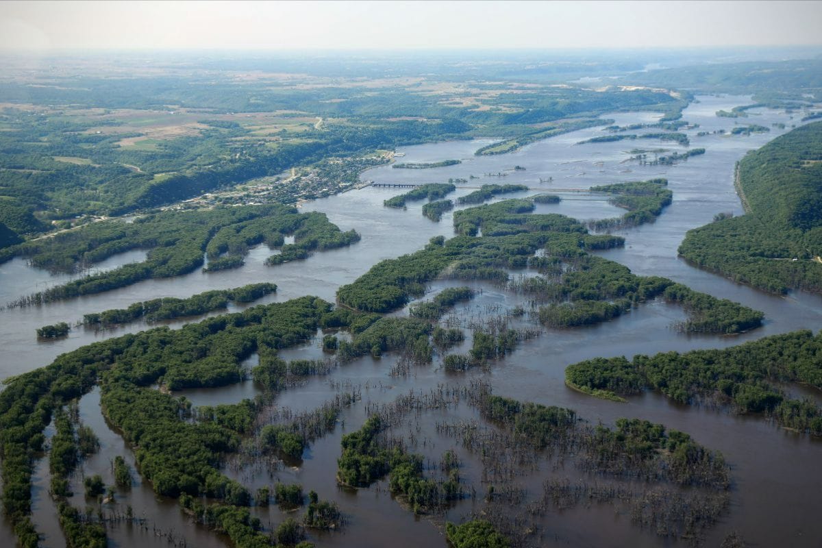 Aerial view of river wetlands