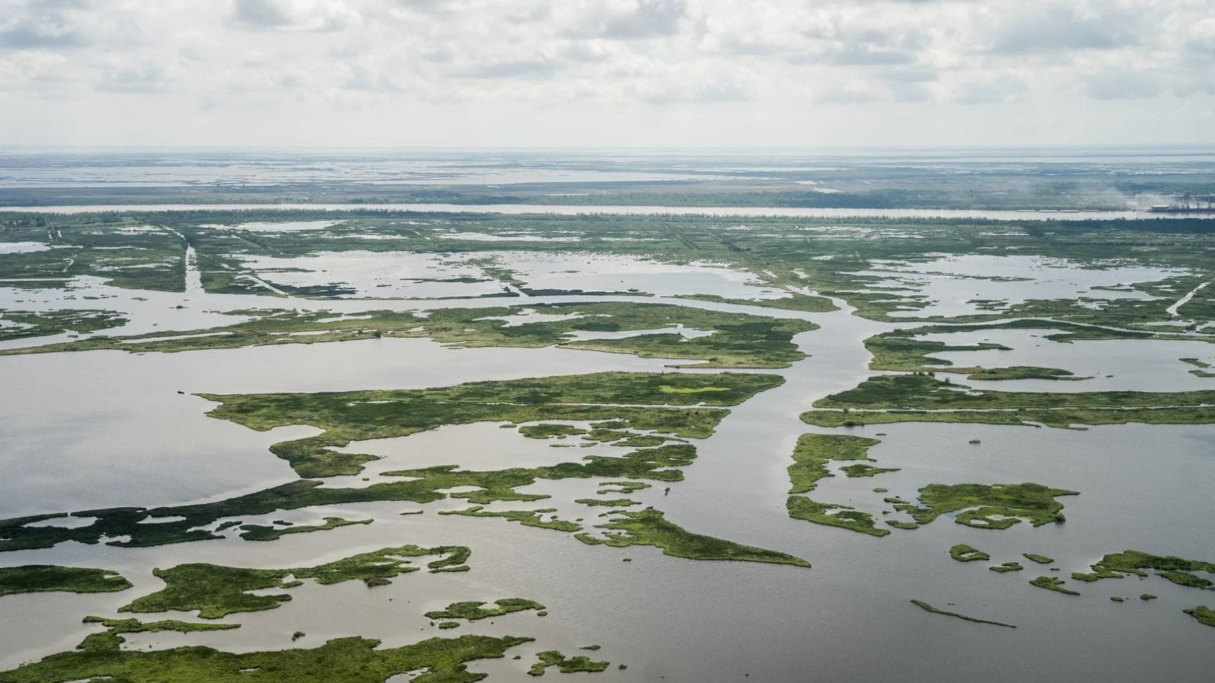 Aerial view of Louisiana wetlands