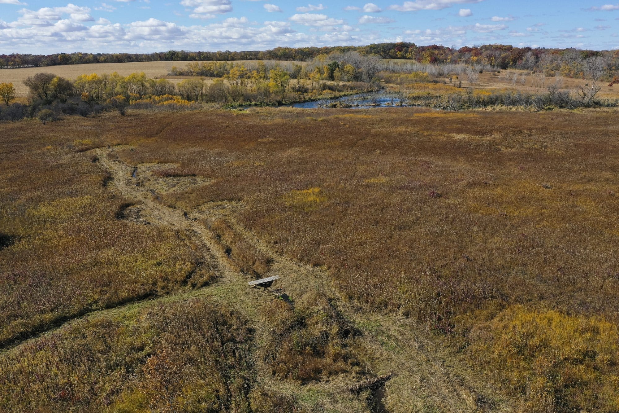 Briggs Wetland in Rock County near Beloit, Wis.