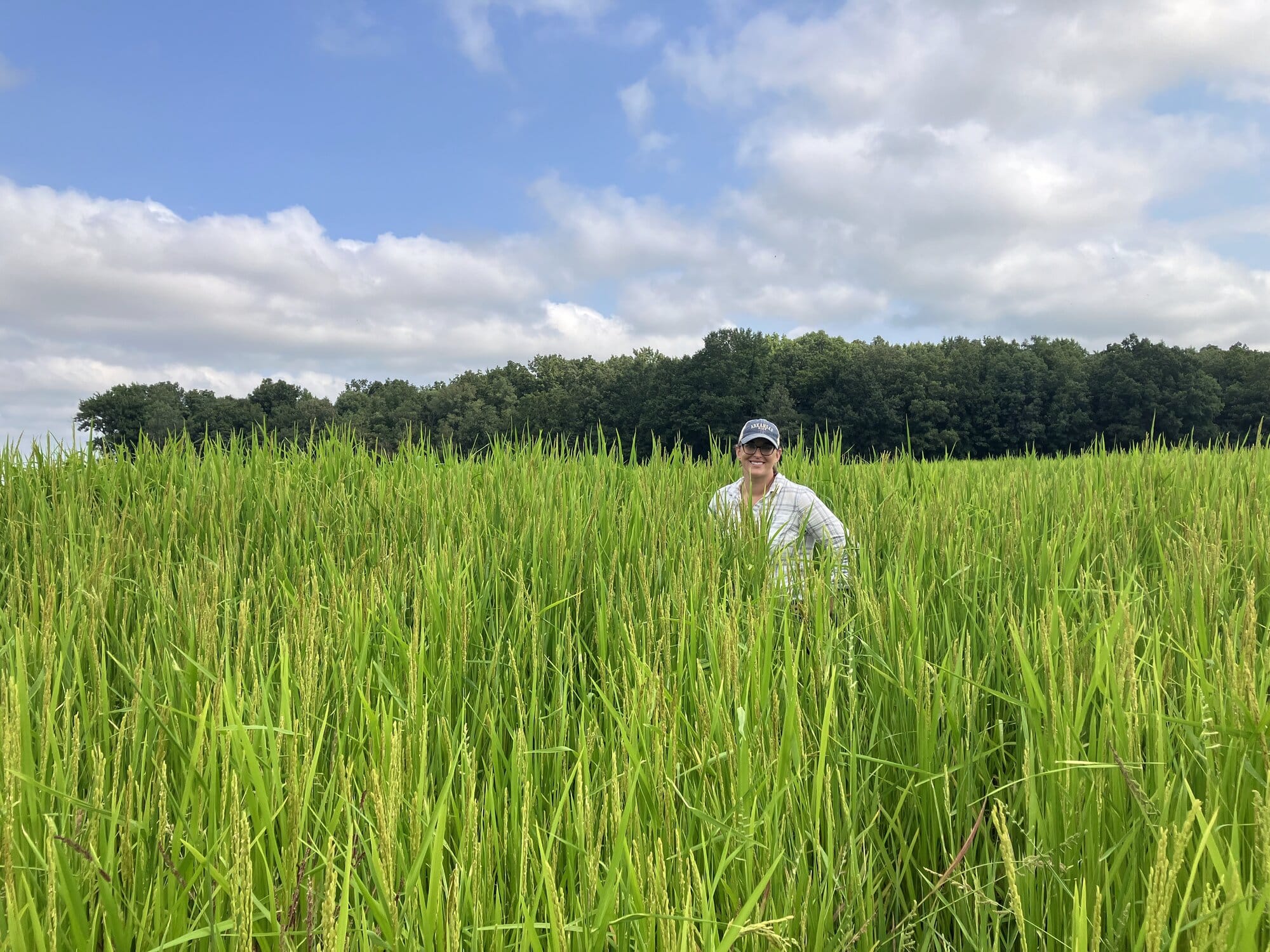 Arkansas rice farmer Hallie Shoffner runs the nonprofit Delta Harvest Food Hub, which works with farmers to pilot the