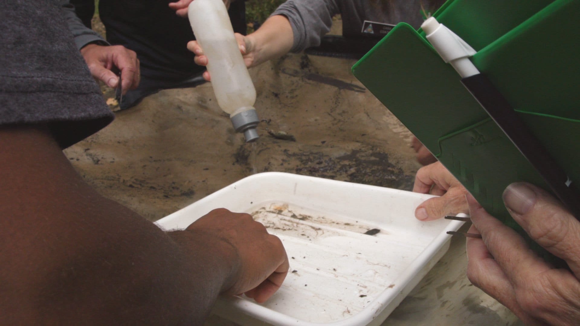 A group of of people work around a tray filled with water. One person squeezes water from a bottle into the tray, another person holds a notebook