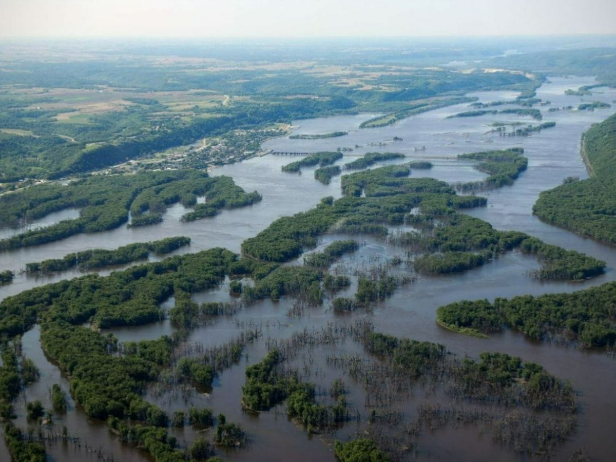 An aerial view of wetlands in a river