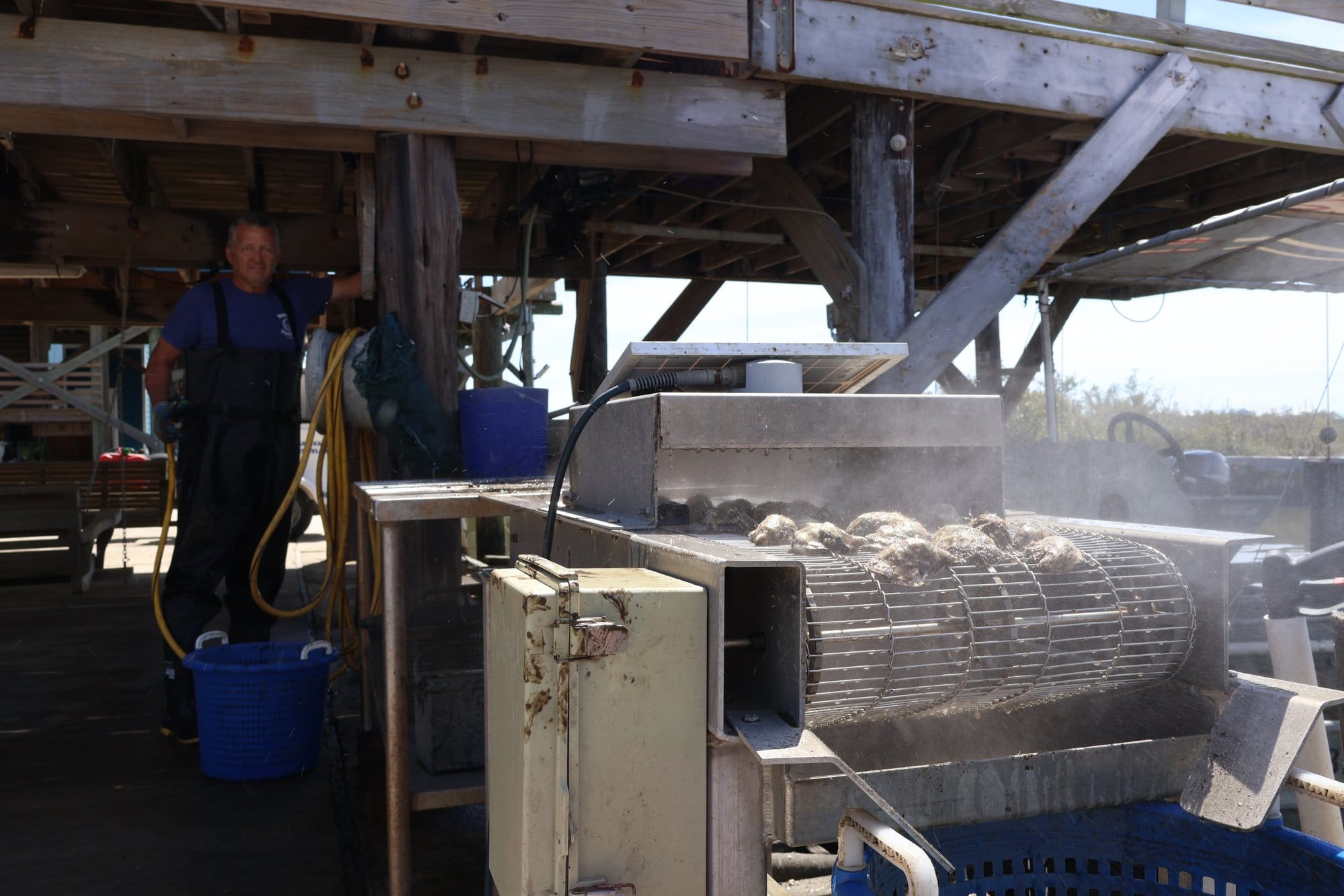Curole stands and watches as oysters pass through a homemade, solar-powered washing machine.