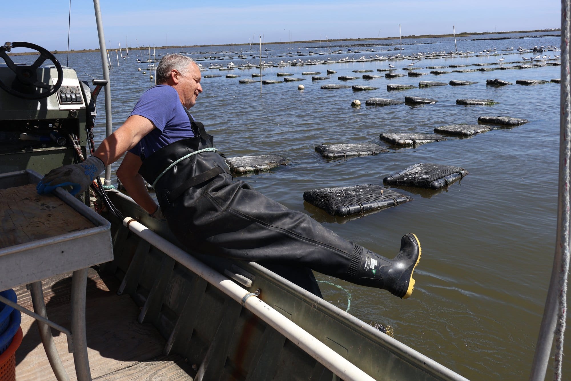 Curole swings over the side of his boat in waders to get to his floating oyster cages.