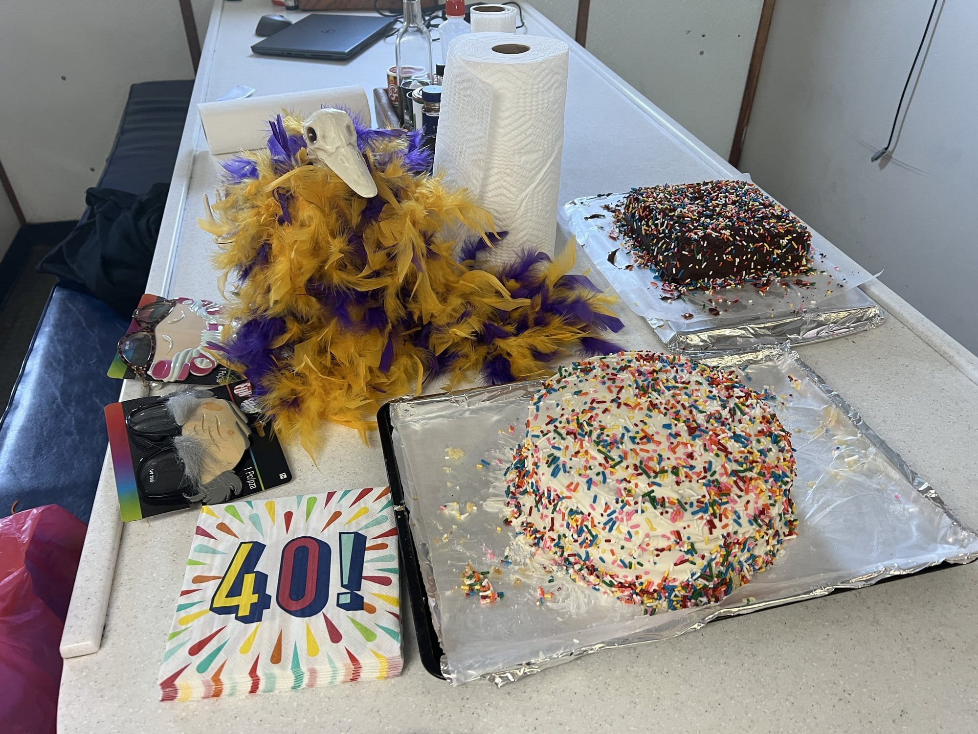 Cakes with rainbow sprinkles and party decorations cover a table during a celebration of The Pelican and the hypoxia cruise’s 40th anniversaries on the water.