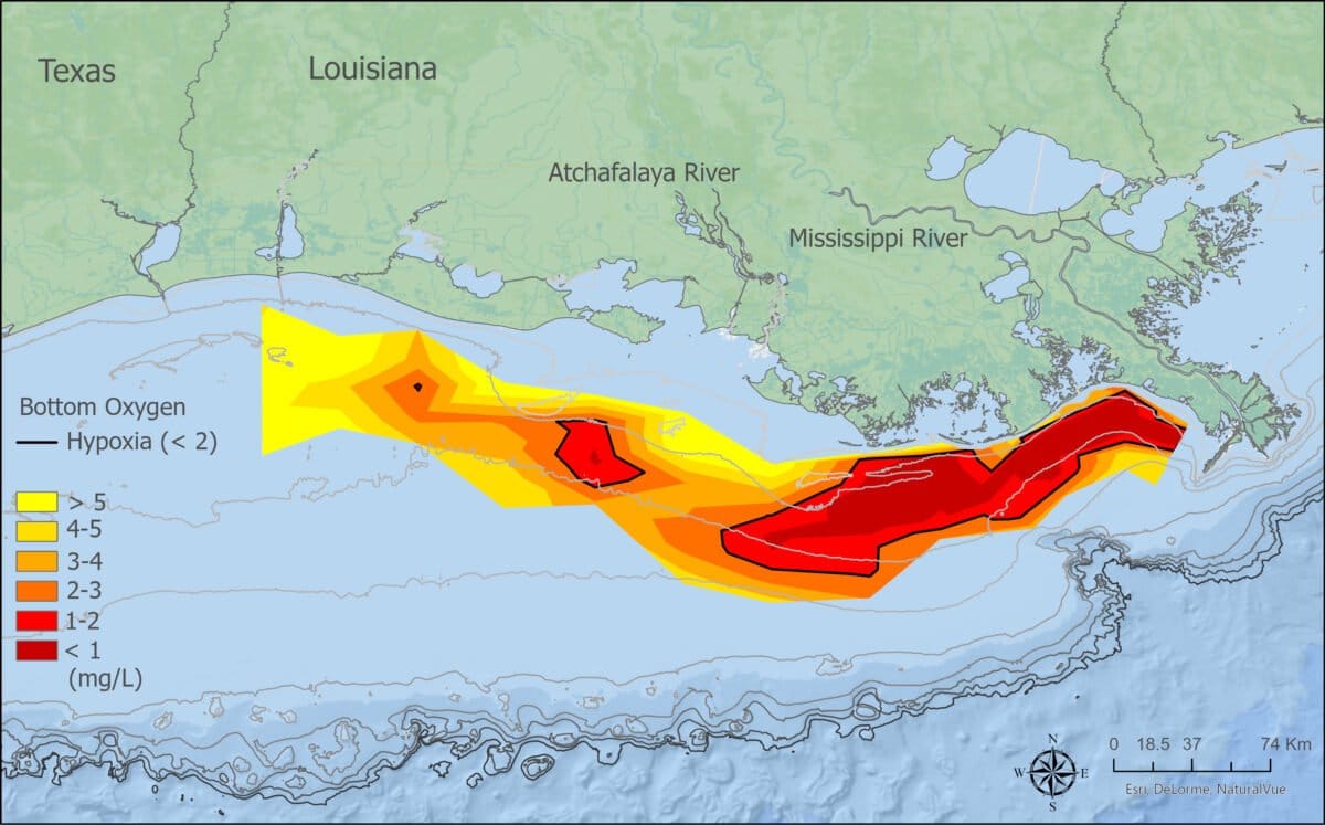 A map of the gulf beneath Louisiana shows measured oxygen levels. Hypoxia is most severe below the eastern half of the state