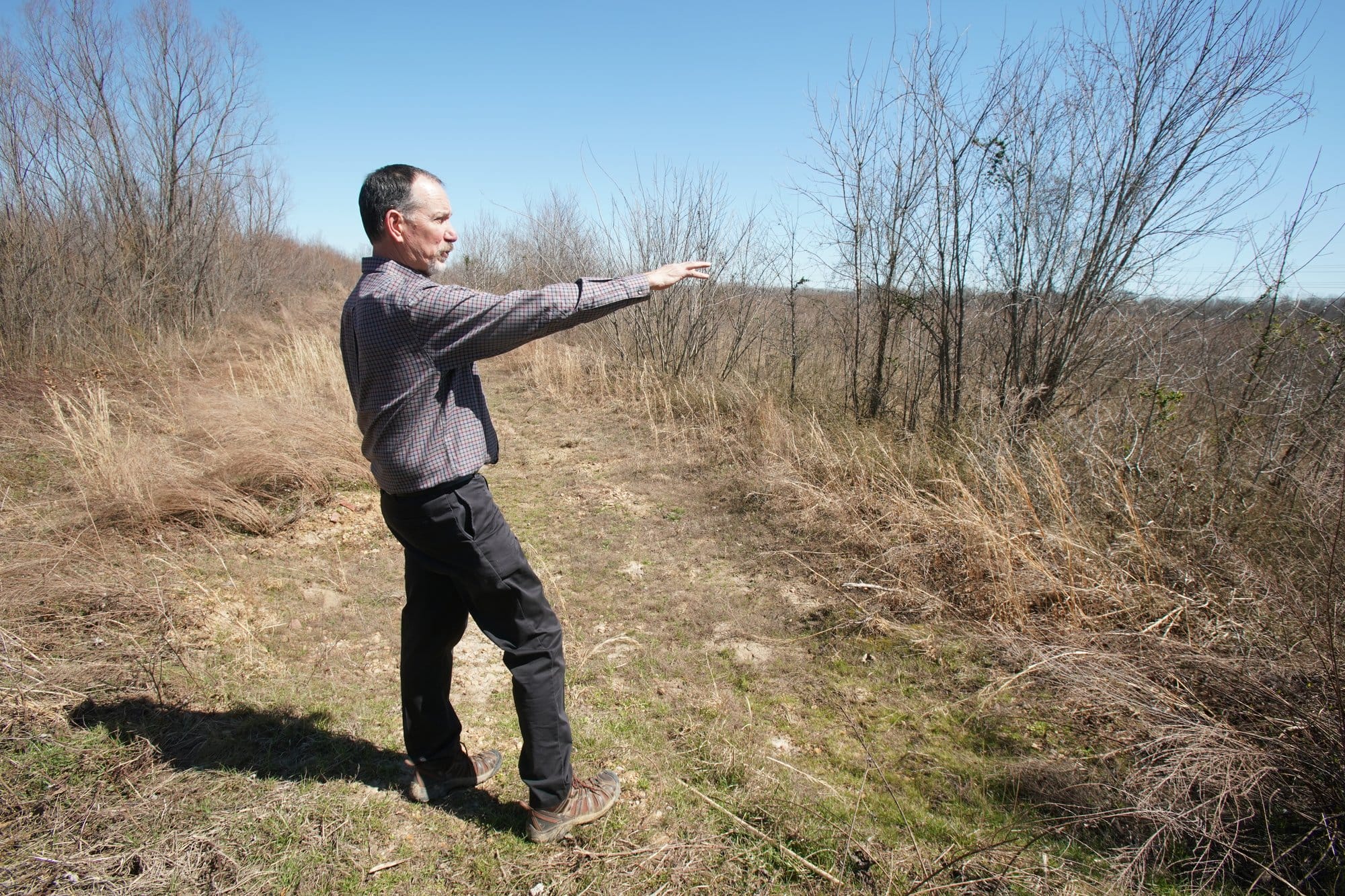 Paul Stoddard, a principal at environmental consulting firm EnSafe, looks out on trees the firm planted to restore a wetland in Shelby County, Tenn.