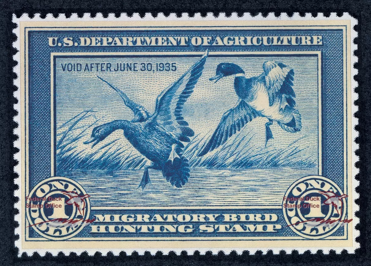 The first federal duck stamp, issued in 1934, illustrating two mallards landing on a river; created to raise funds for wetland conservation.