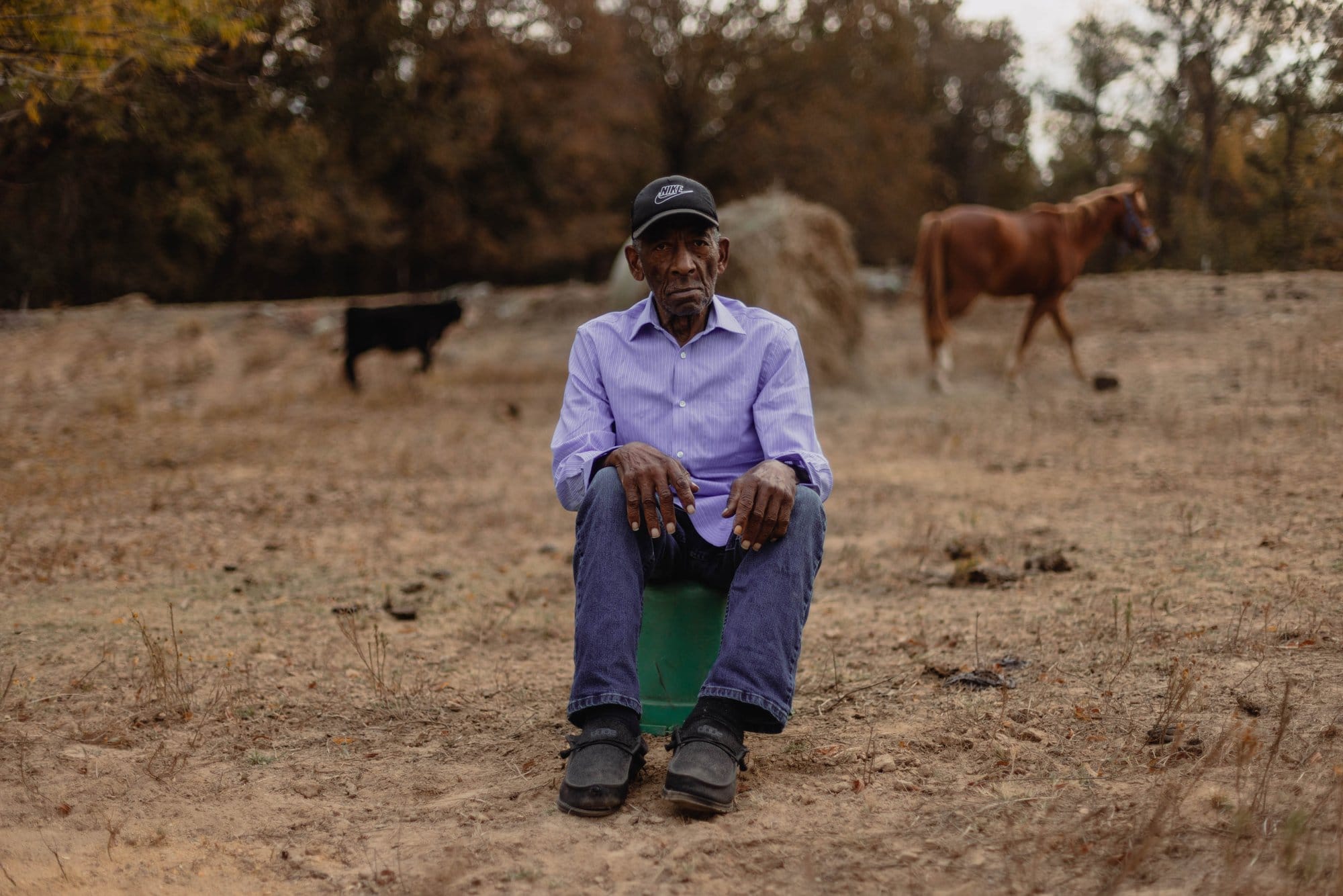An older man sits on a green bucket in a yellow dirt field with a bale of hay, a horse, and a small calf behind him