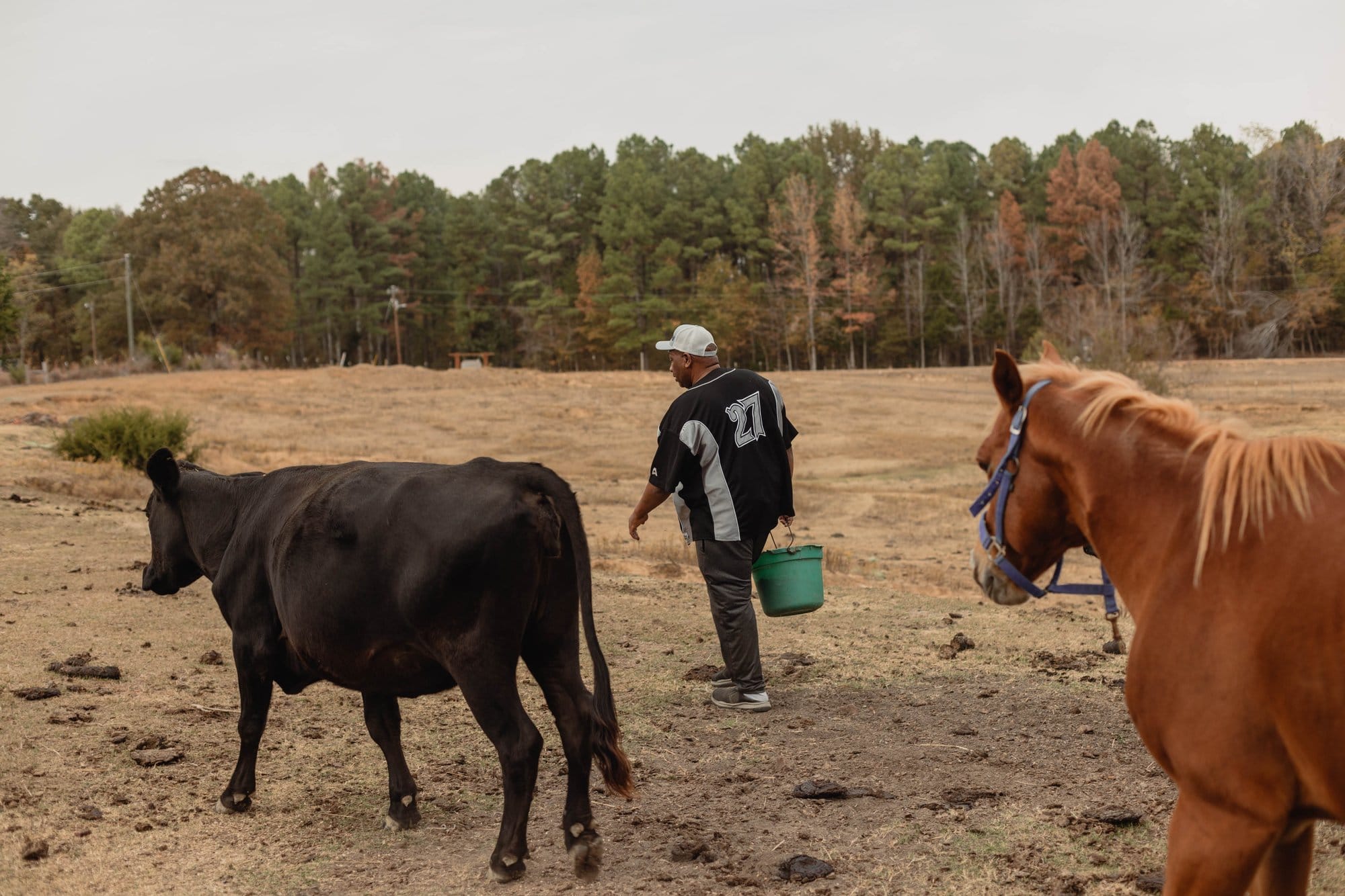 A man carries a green bucket as he walks alongside a calf and horse in a field