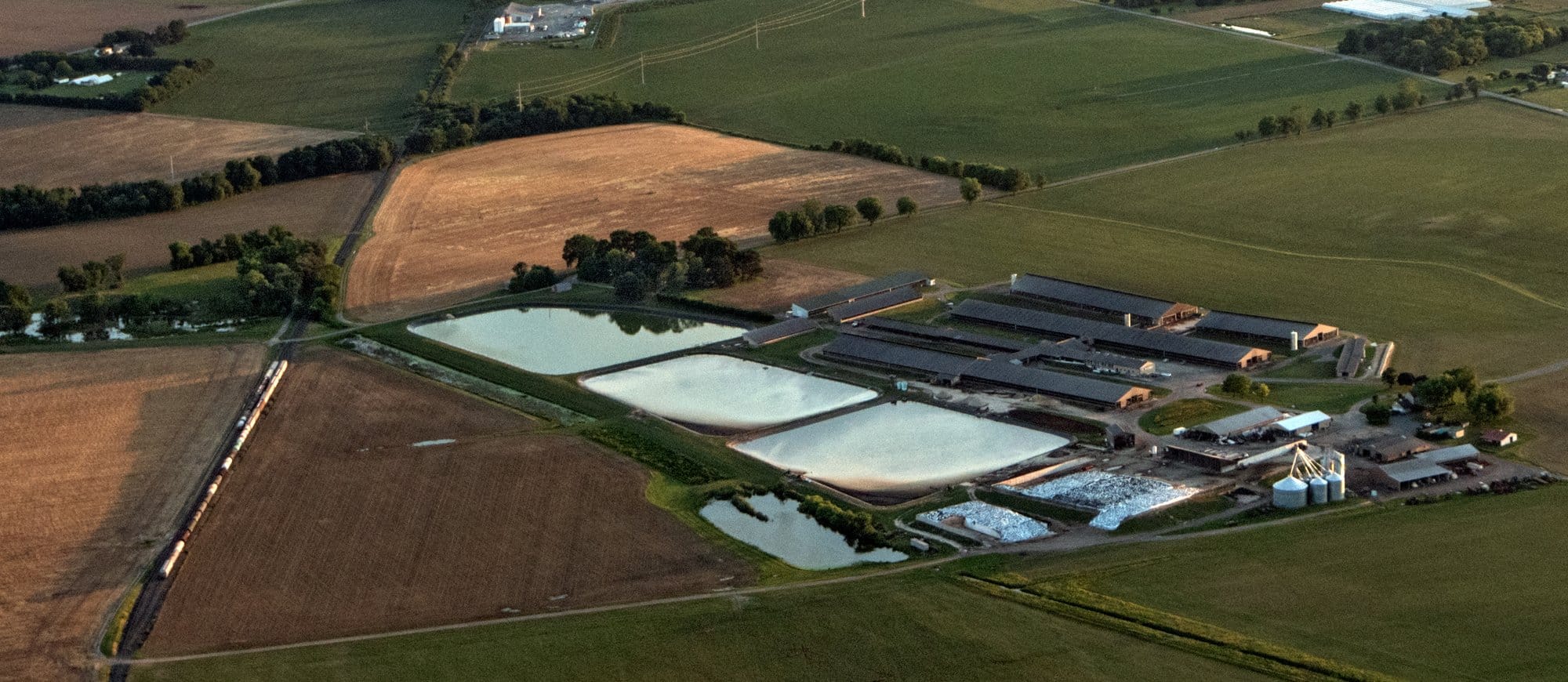 Aerial view of a concentrated animal feeding operation (CAFO) northeast of Massey, Maryland.