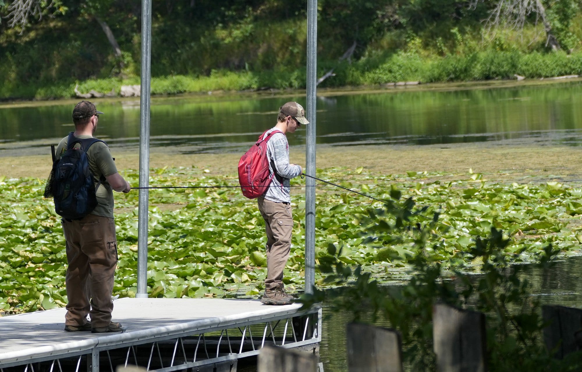 Two people fish from a pier on a lake, covered with aquatic vegetation.