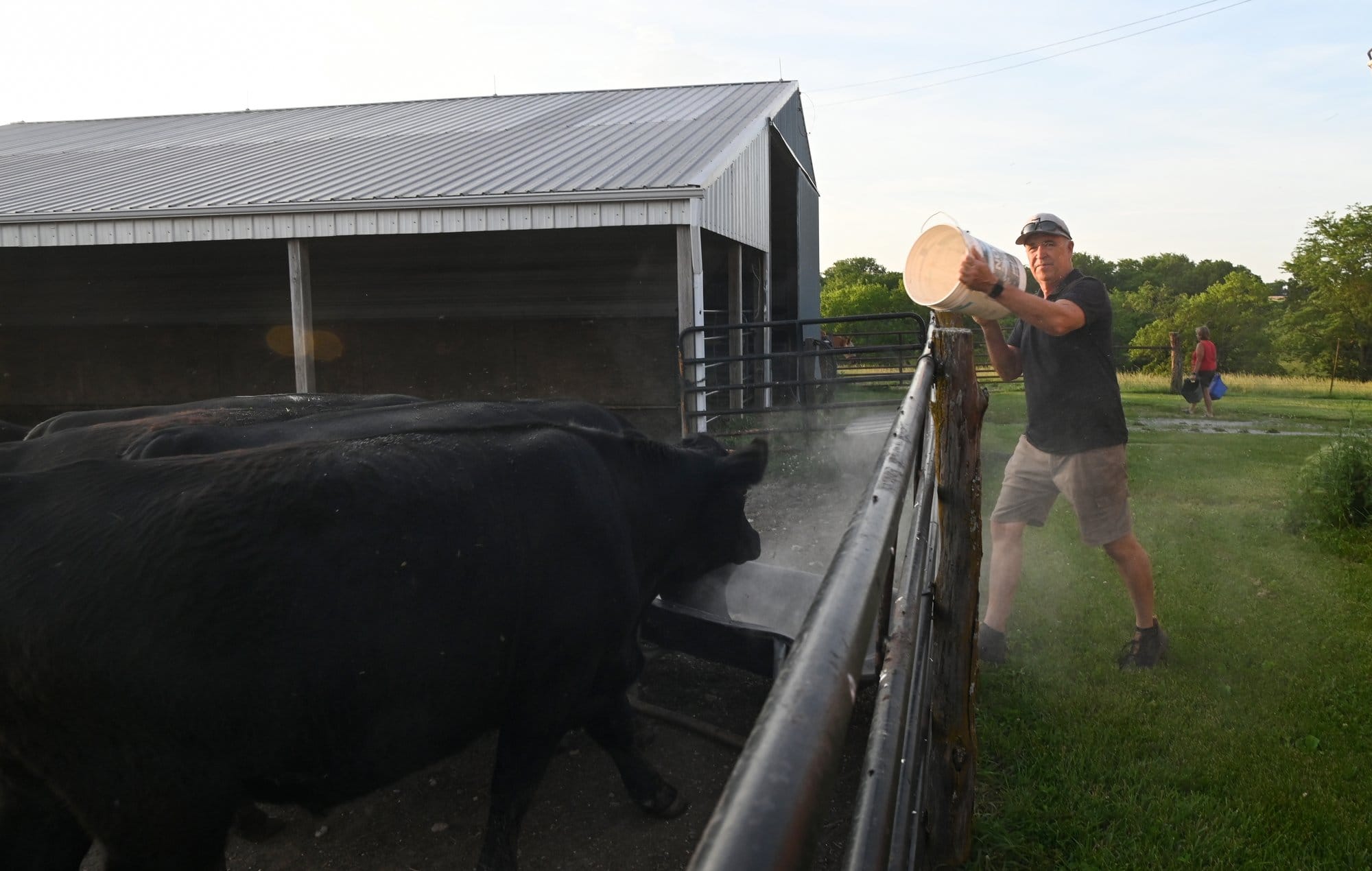 Doug Doughty feeds his livestock on Sunday, June 2, 2024 in Livingston County, Mo.