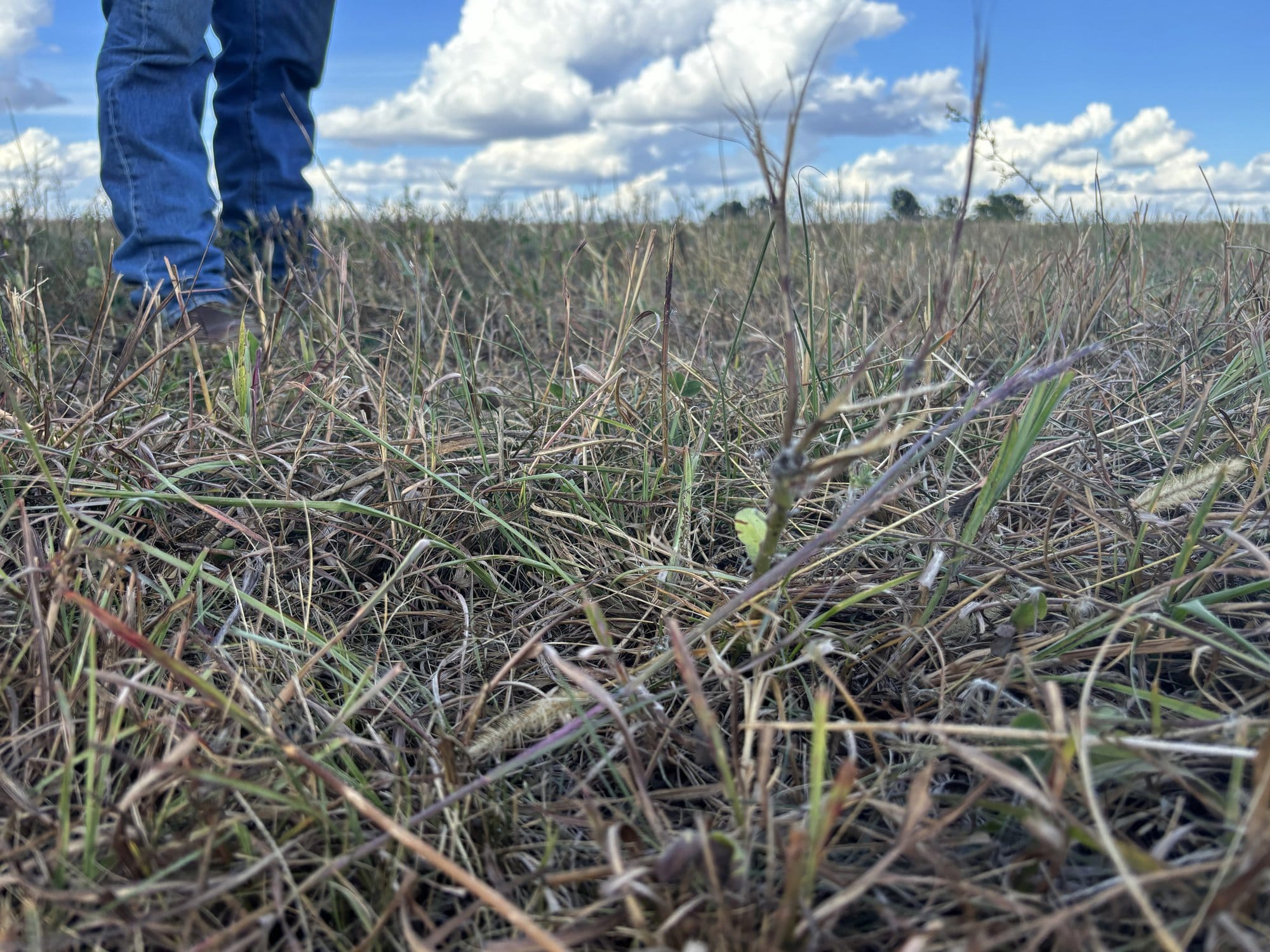 A man stands on grass on his farm, with only his feet visible.
