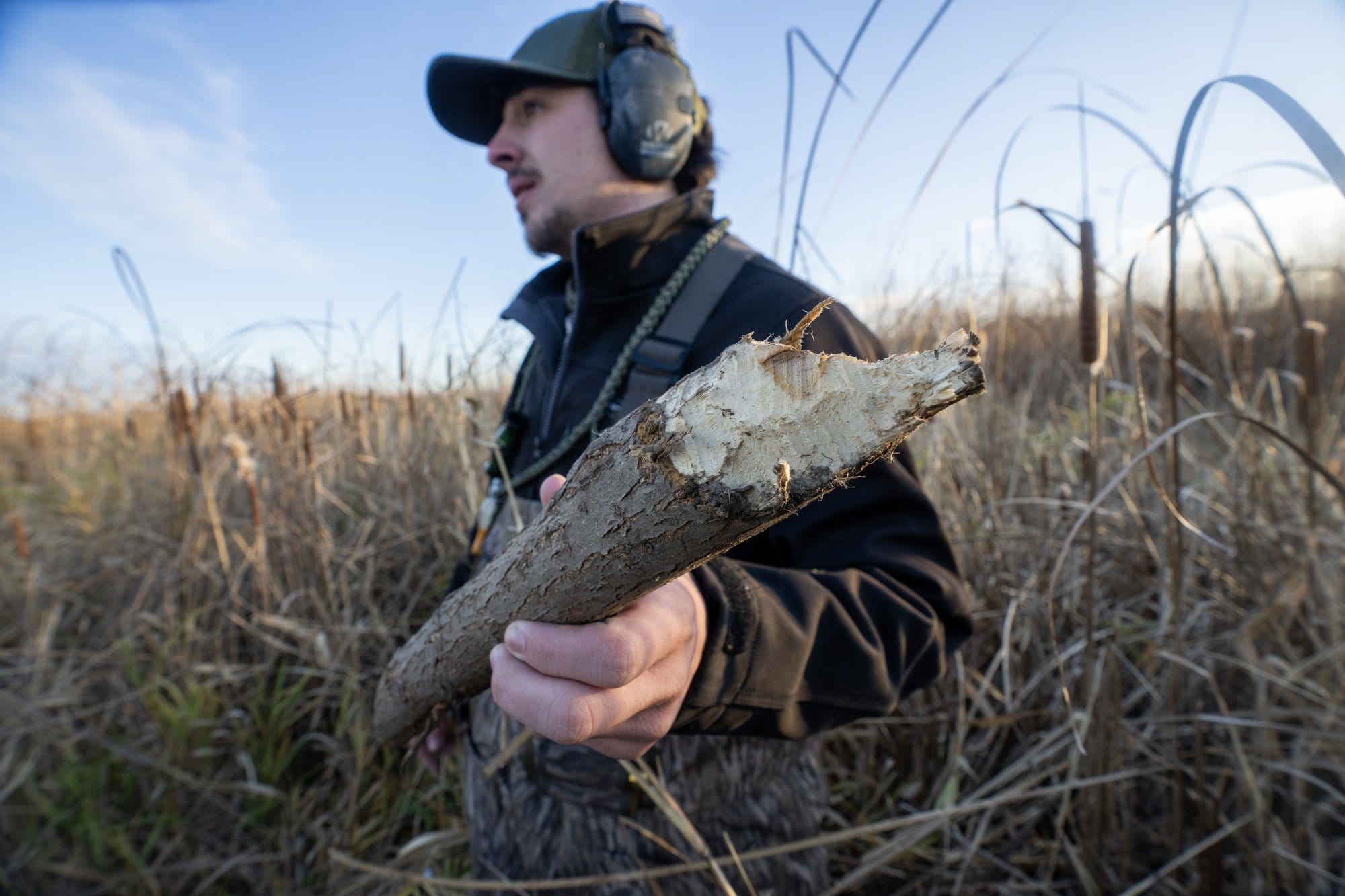 A man in a camo jacket and ear protection stands in a field of tallgrass holding a branch with the end chewed off