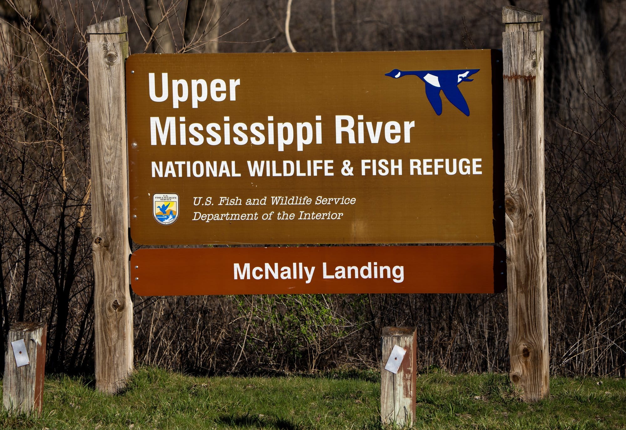 brown sign with wood posts on either side staking it into the ground: reads "upper mississippi river national wildlife & fish refuge, u.s. fish and wildlife service, department of the interior, McNally landing" with a goose graphic