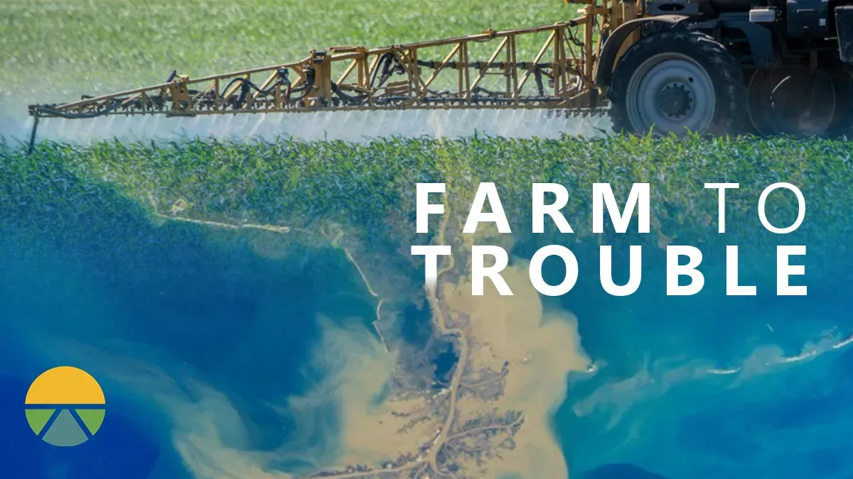 Desk graphic for the project Farm to Trouble