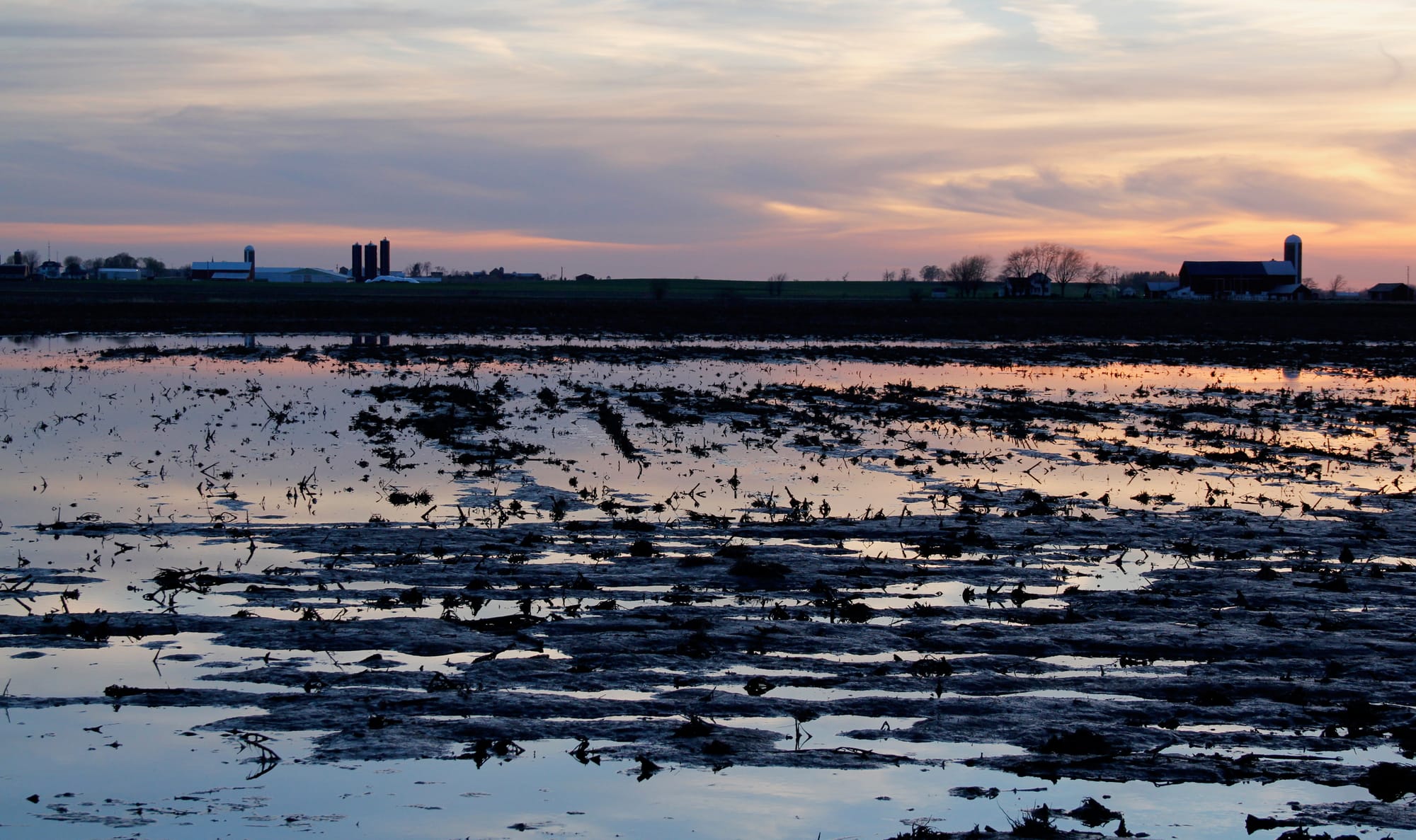 A flooded field at sunset