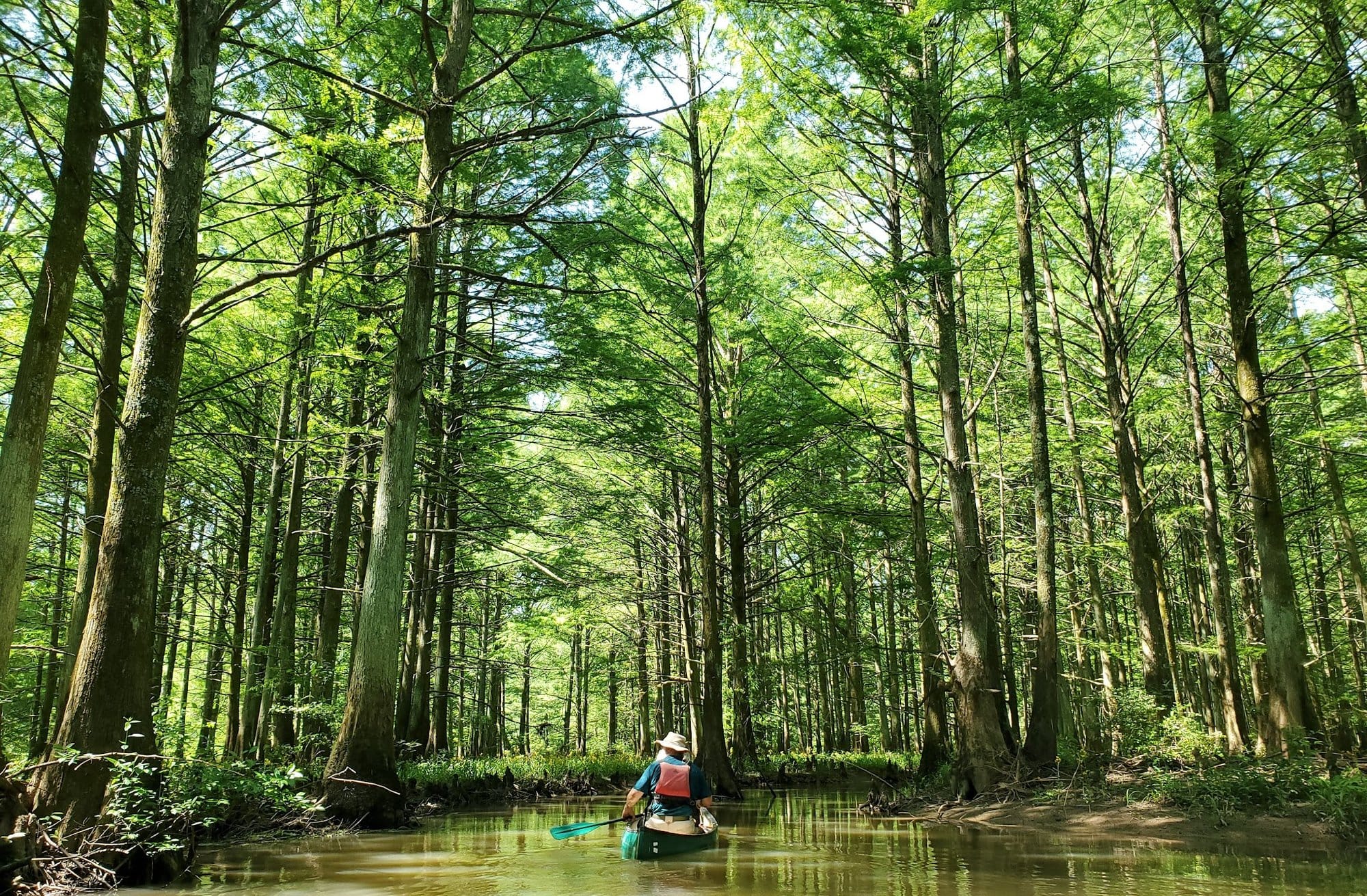 A man paddles down the main stem of the Wolf River in West Tennessee.