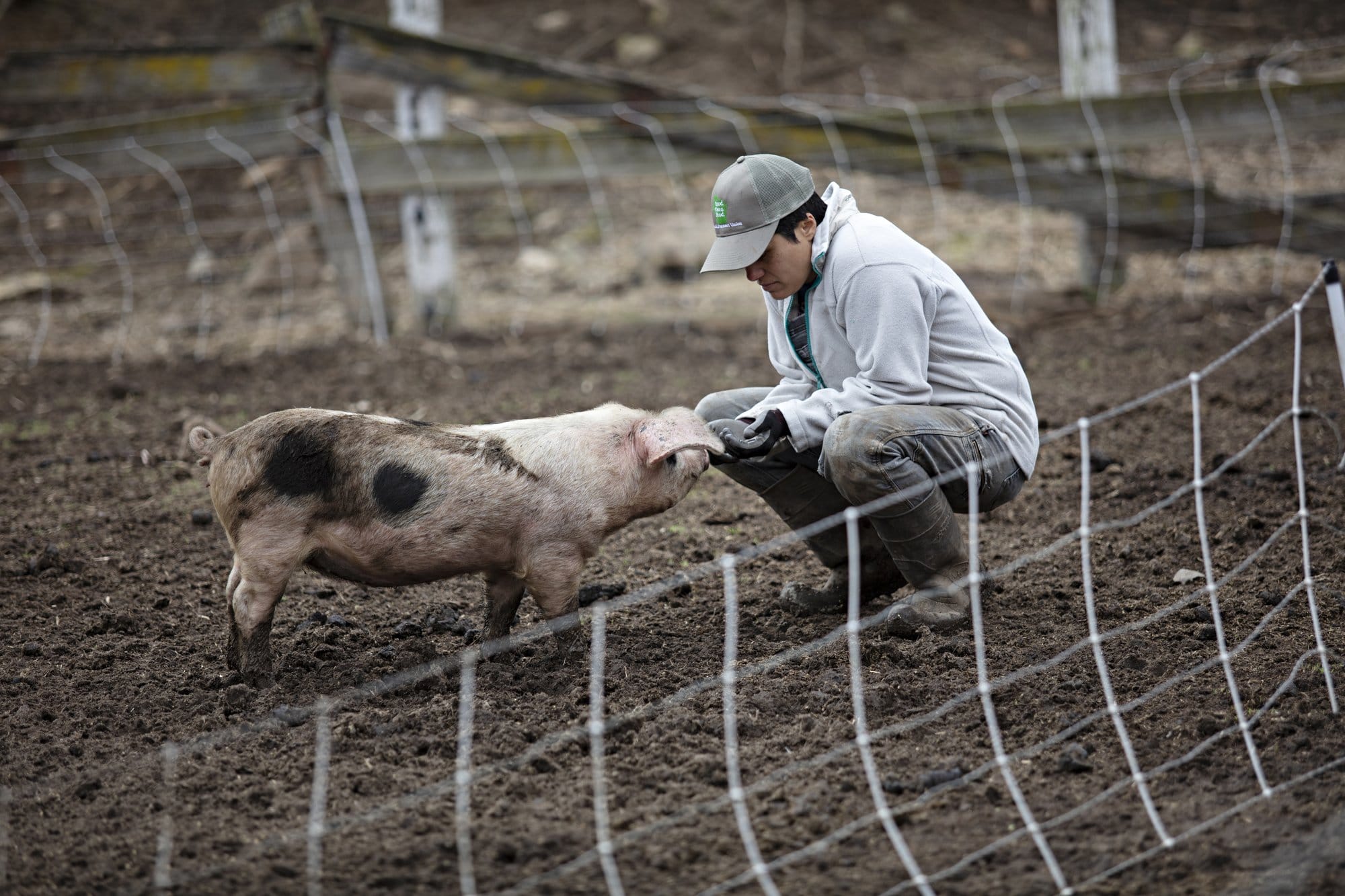 Farmer Jess D'Souza greets a pig at Wonderfarm.