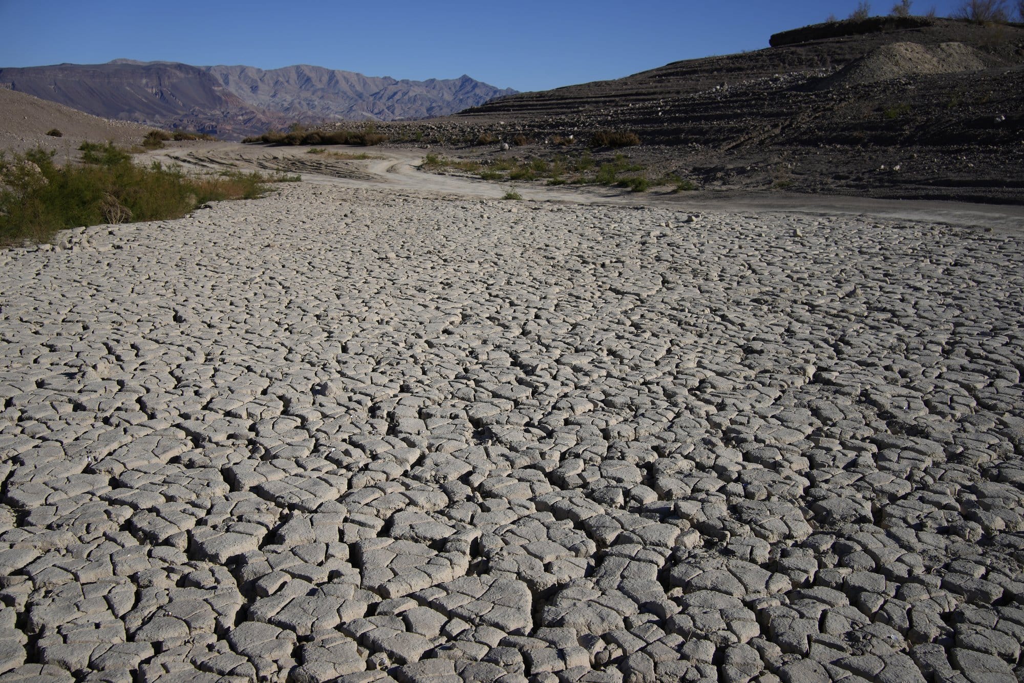 Cracked earth.