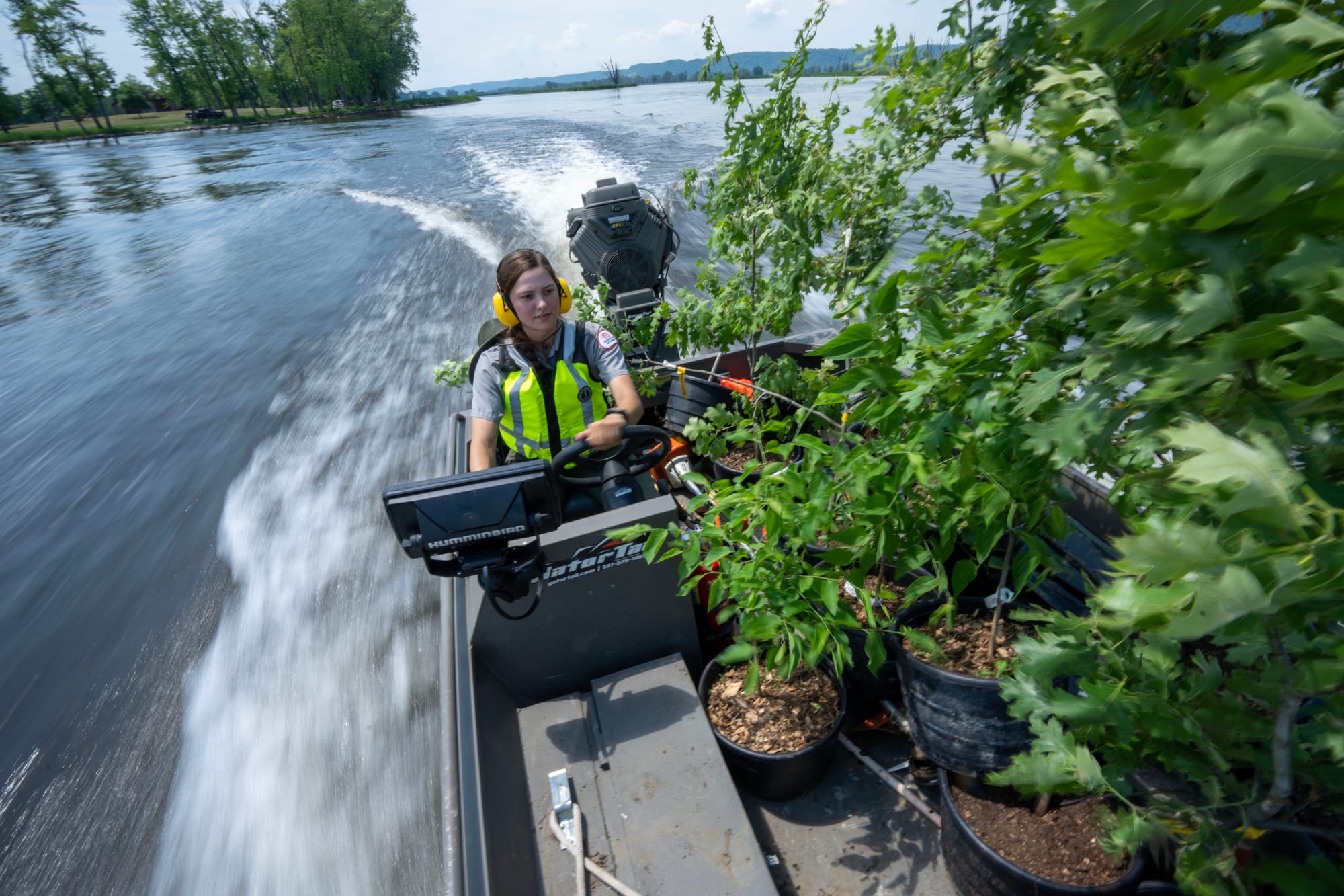 A forester drives a boat carrying trees down a river