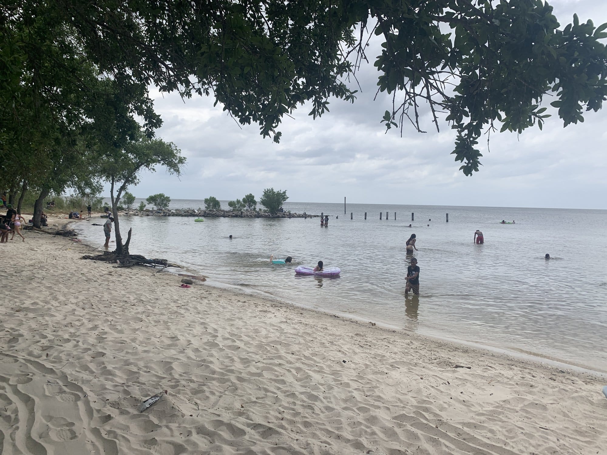 People swim in the water next to a sandy shore and underneath trees