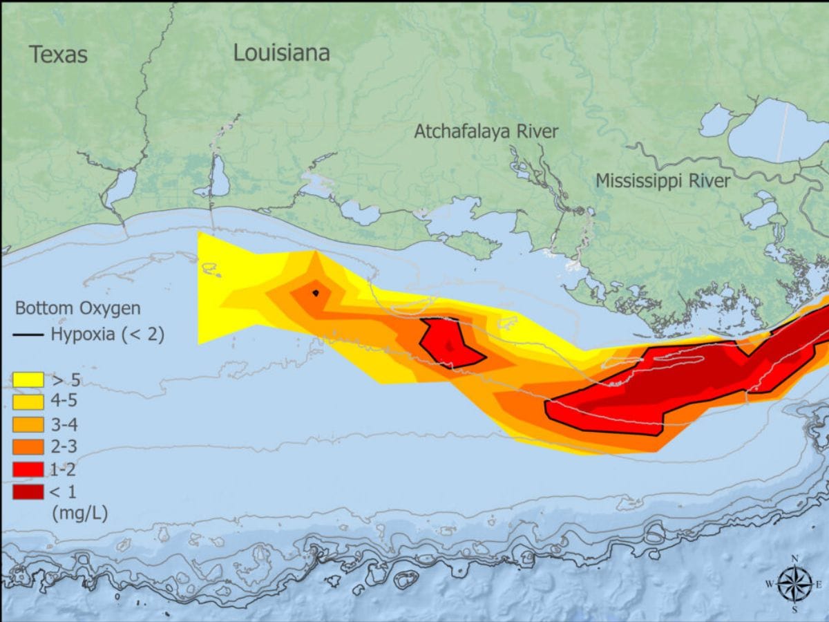 A graph shows the bottom oxygen is lowest by the Mississippi River delta