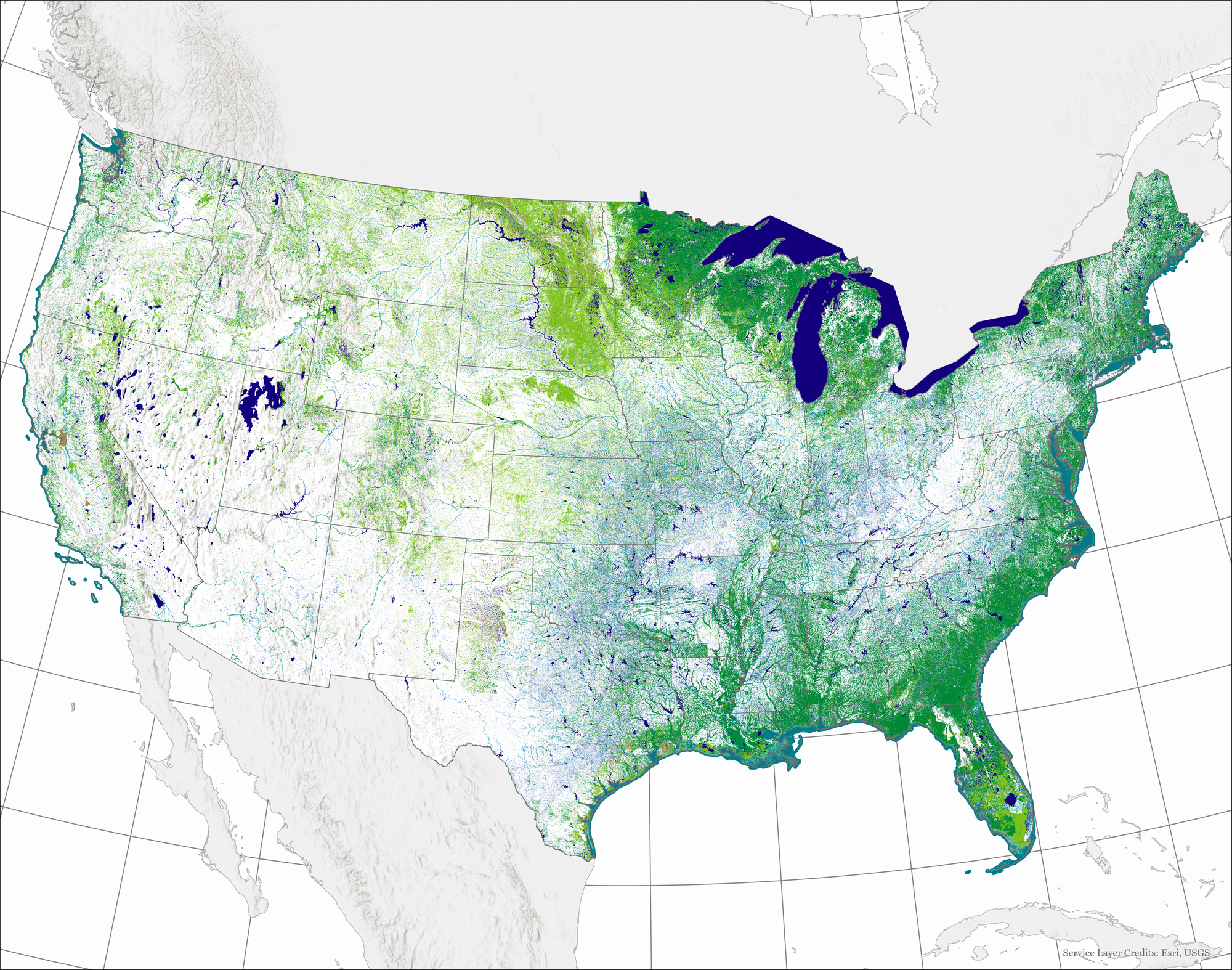 A map of the U.S. shows wetland land mass by type: freshwater, marine, or estuarine. Freshwater wetlands are concentrated on the east and southeast portion of the U.S