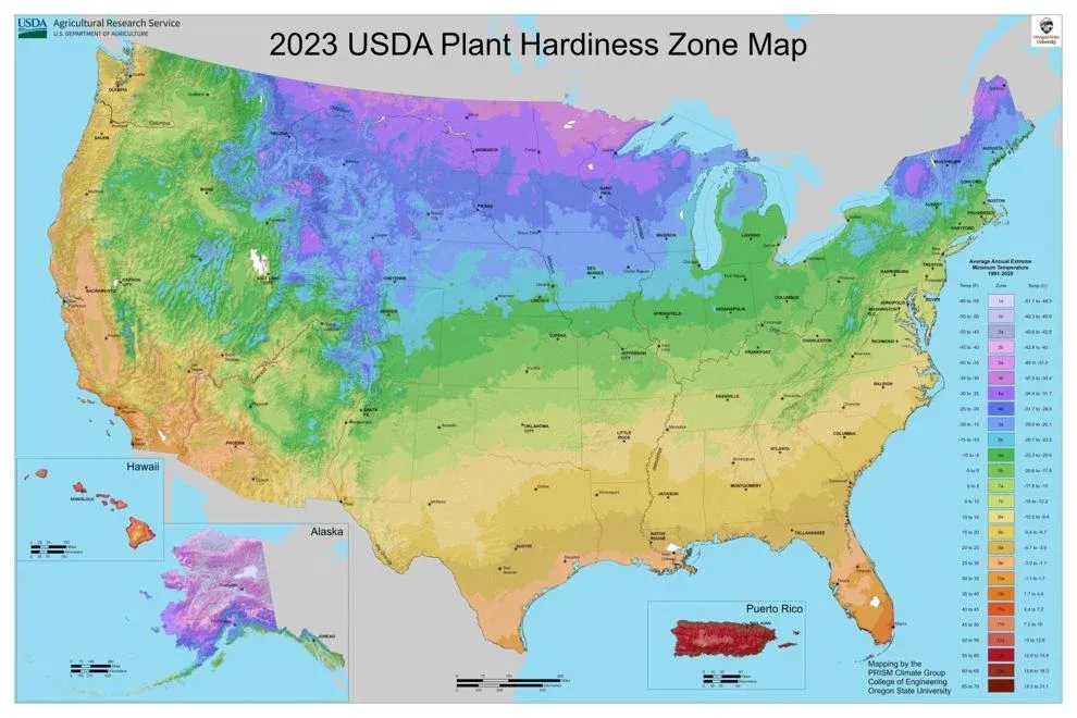 A map of plant hardiness zones in the US in 2023 shows about half the country moved up by half a plant zone