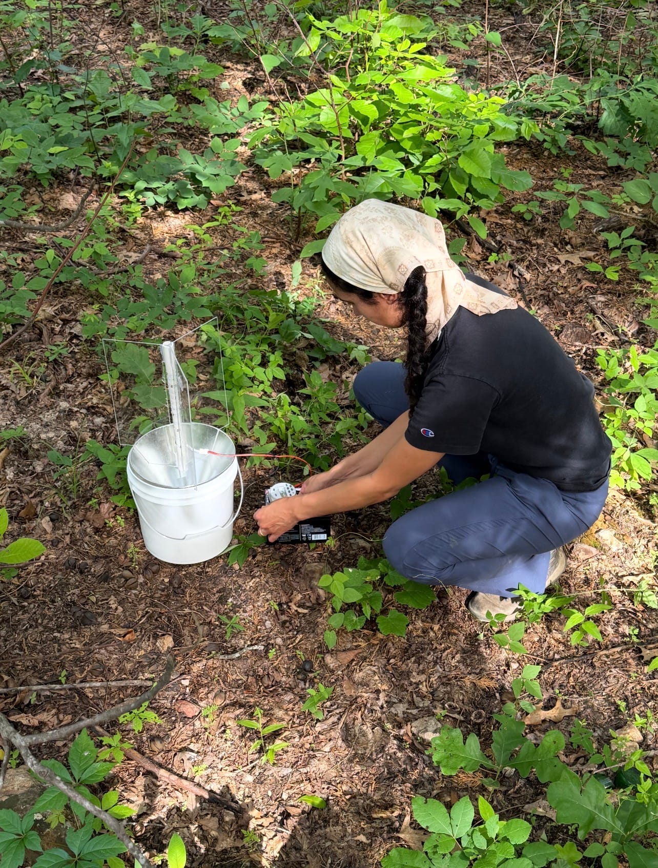 A woman wearing a light-colored bandana crouches over an electronic instrument in a forest. A wire runs from the instrument to a device in a white plastic bucket.