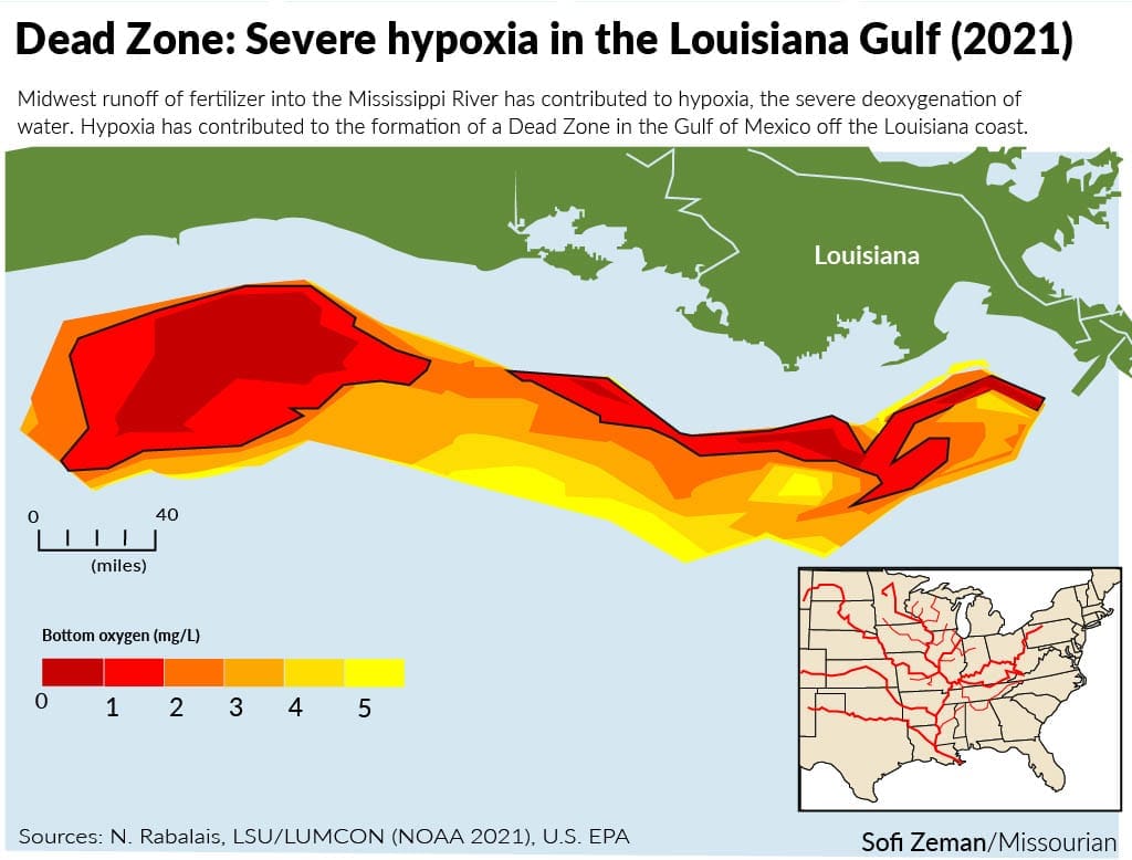 Map of the 2021 Gulf of Mexico dead zone off the Louisiana coast, showing severe hypoxia across a broad area. Red and orange indicate the lowest bottom-water oxygen levels, with an inset showing the Mississippi River watershed draining toward the Gulf.