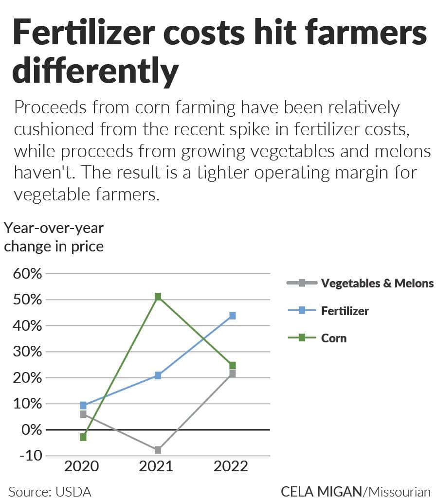 Line chart comparing year-over-year price changes for fertilizer, corn, and vegetables and melons from 2020 to 2022. Fertilizer prices rose to about 44% in 2022, while corn prices rose about 25% and vegetable and melon prices about 22%.