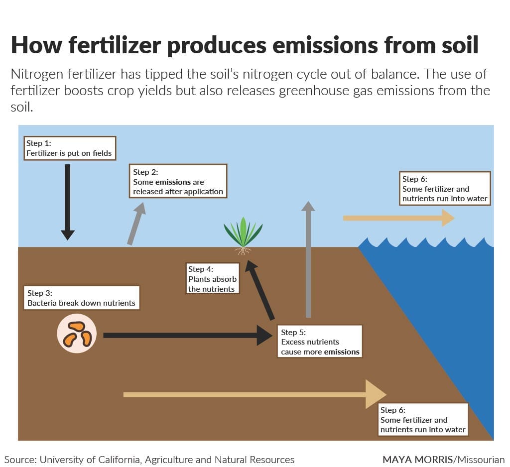 Diagram showing how nitrogen fertilizer produces soil emissions. After fertilizer is applied, some emissions are released directly, while soil bacteria break down nutrients. Plants absorb some nutrients, but excess nutrients produce additional emissions or run off into nearby water.