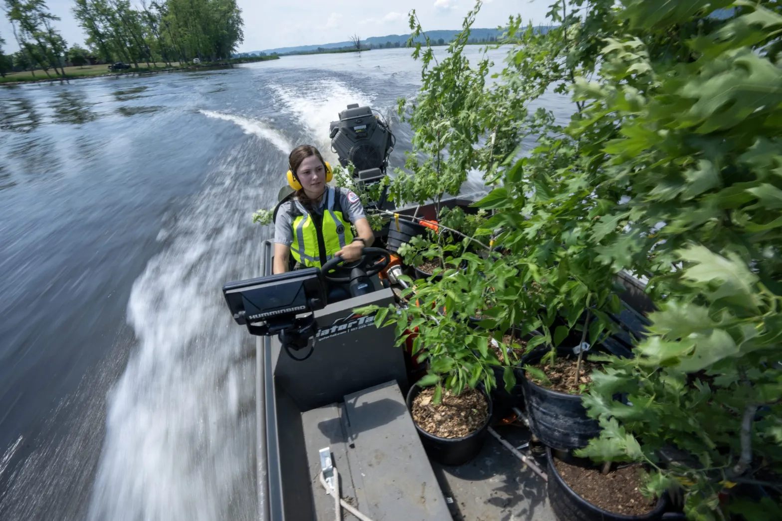 Army Corps of Engineers forester Sara Rother drives a boat full of trees to be planted on an island south of La Crosse, Wis., in the Mississippi River.